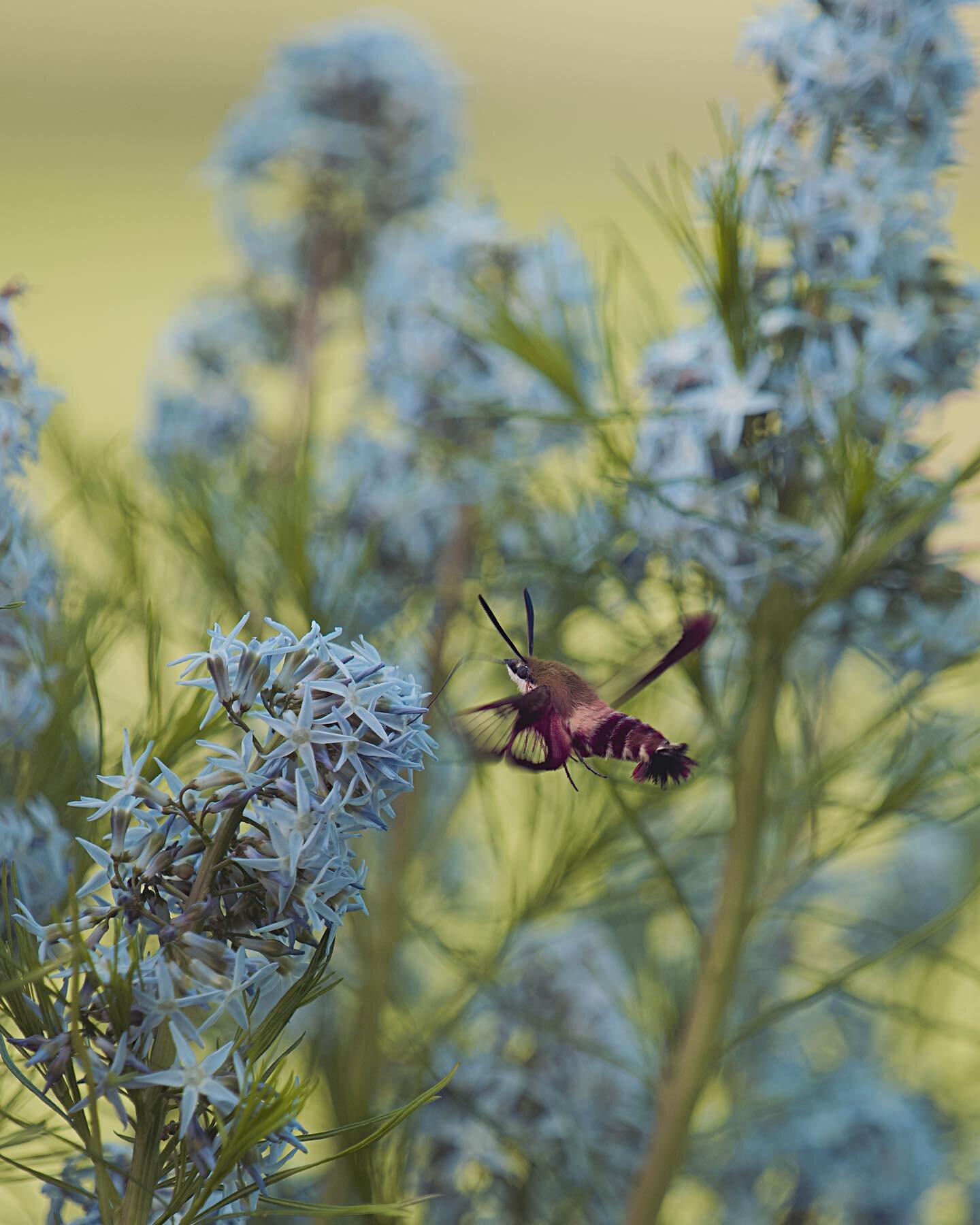 Sometimes I wonder if I&rsquo;m so busy because I&rsquo;ve come to believe the lie that busyness is the point. And nothing allows you to be busy&mdash;all the time, with anyone anywhere&mdash;like having the whole world in a little black rectangle in