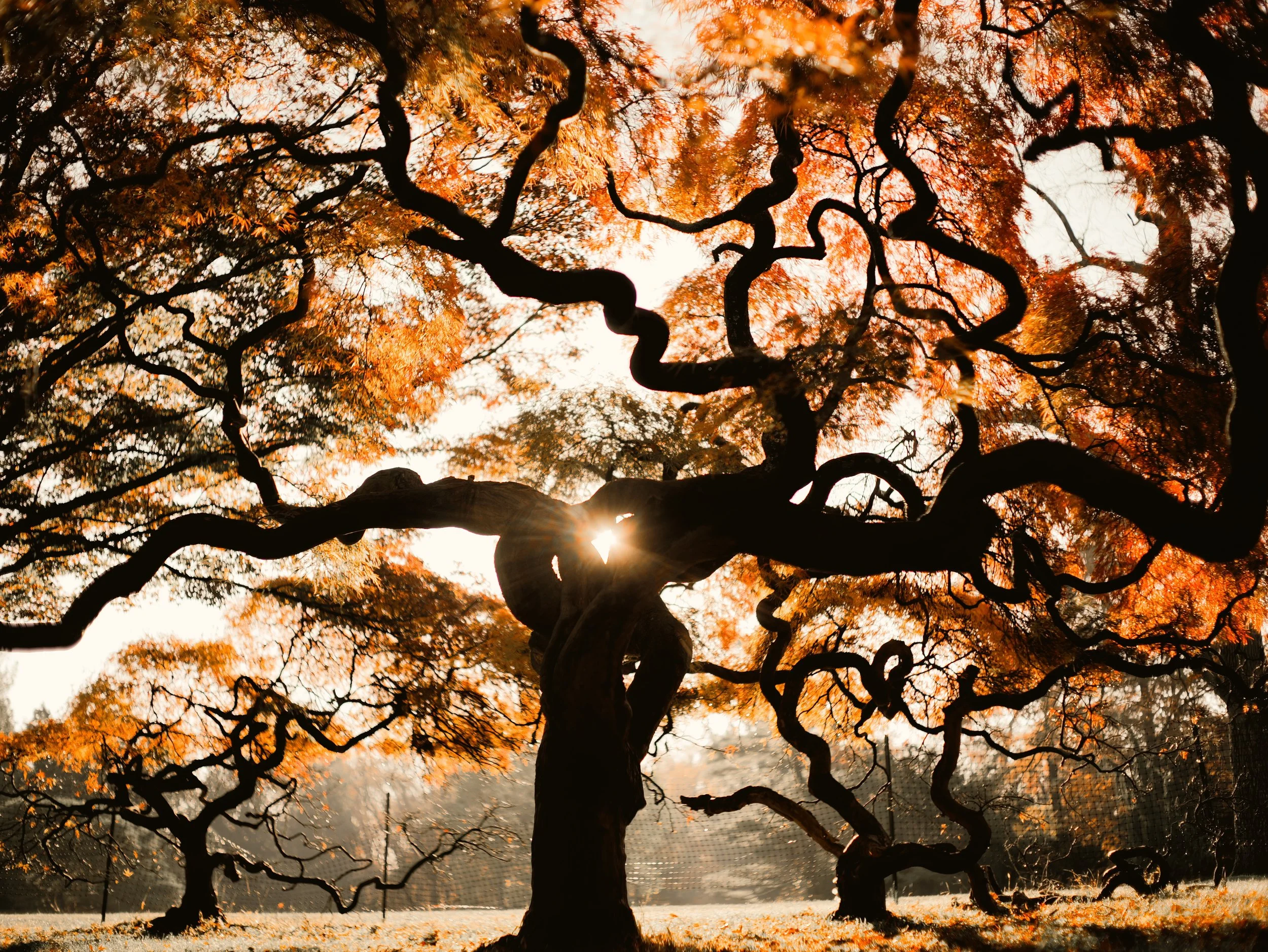 Better Questions for Creatives