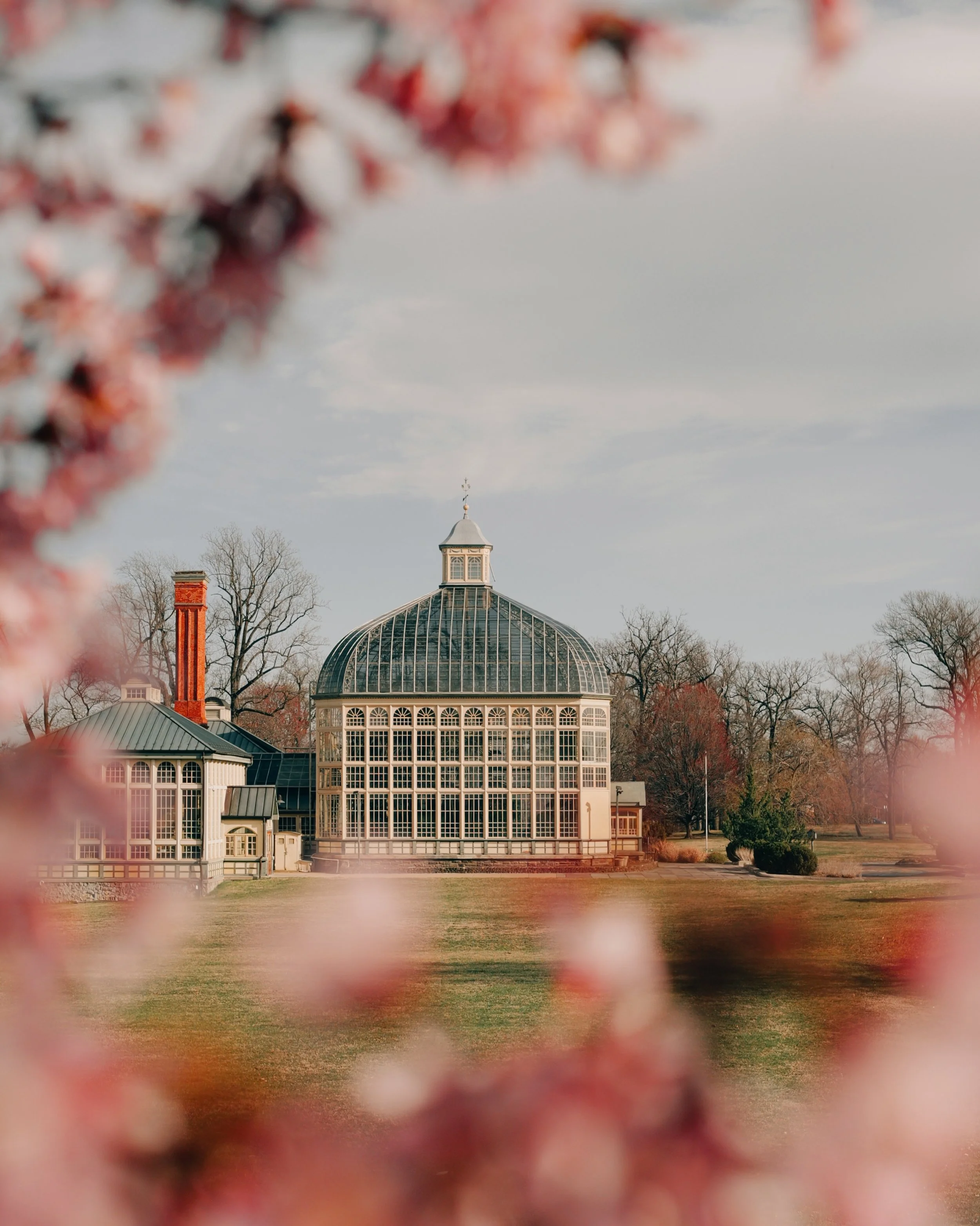 Conservatory in Cherry Blossoms - Aaron Burden.JPG