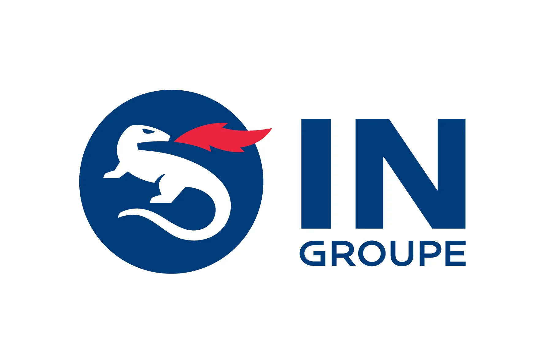 logo IN Groupe.jpg