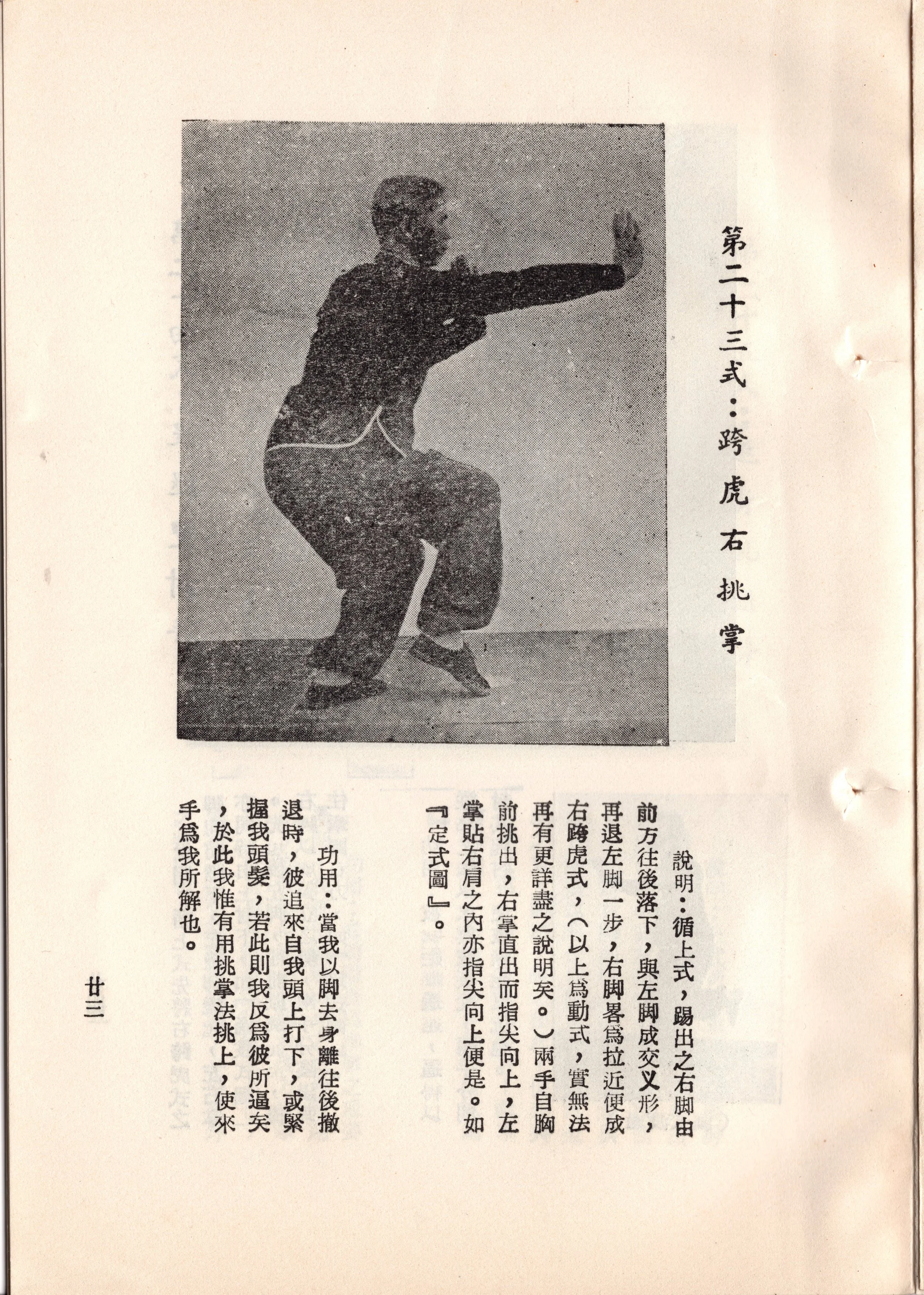 img015 copy 2.jpg