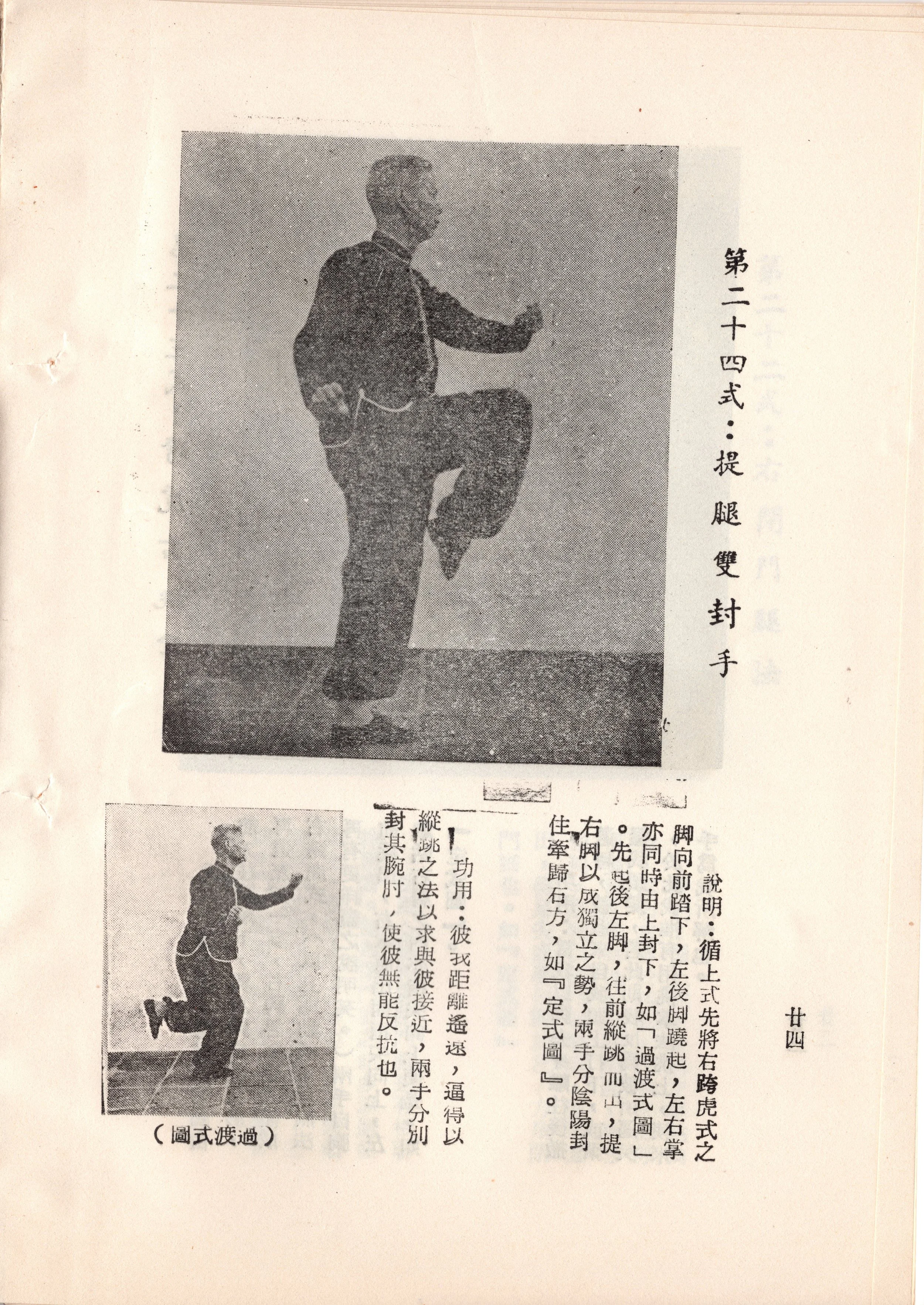 img016 copy.jpg