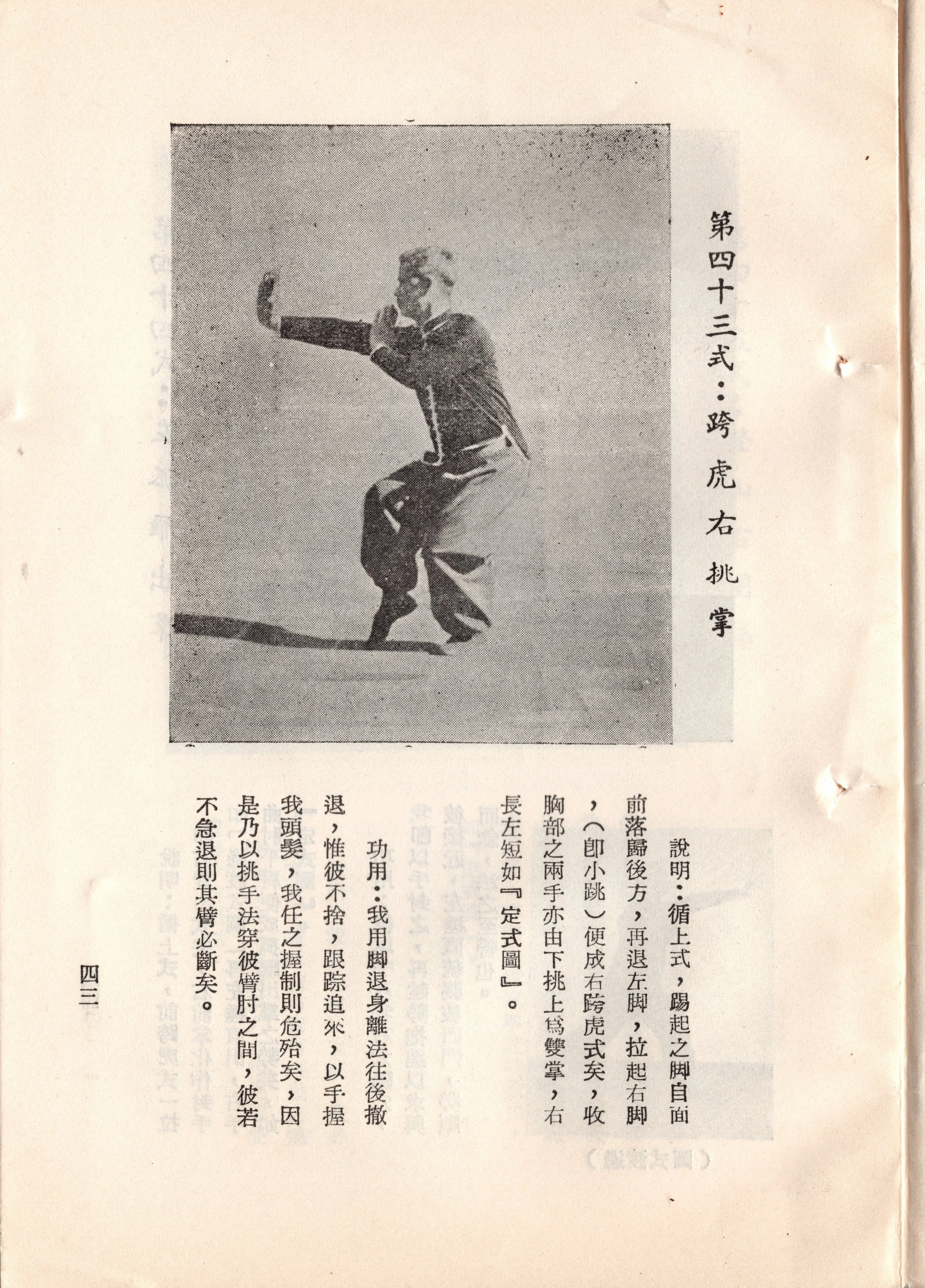img024 copy 4.jpg