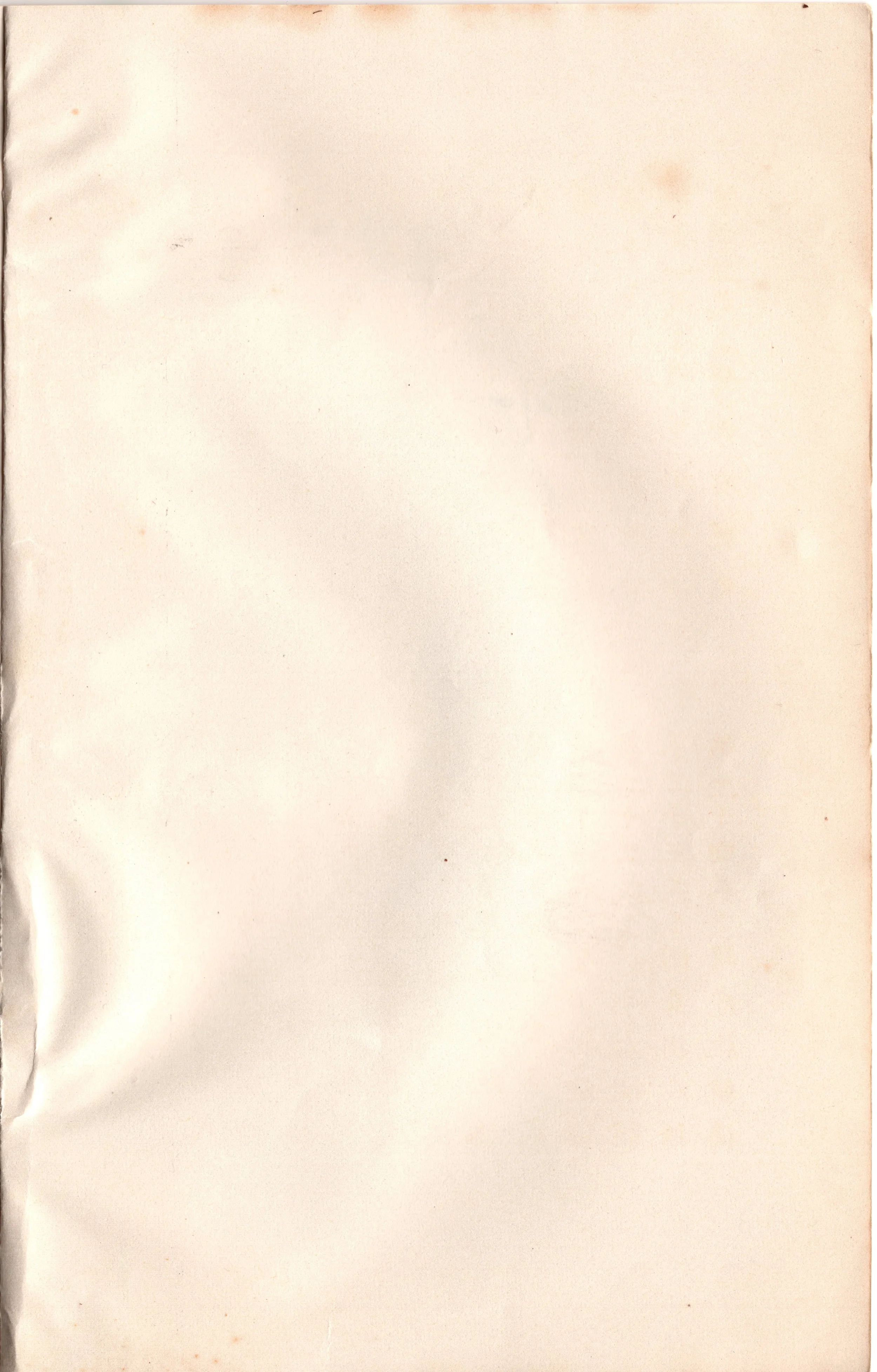 img002 copy.jpg