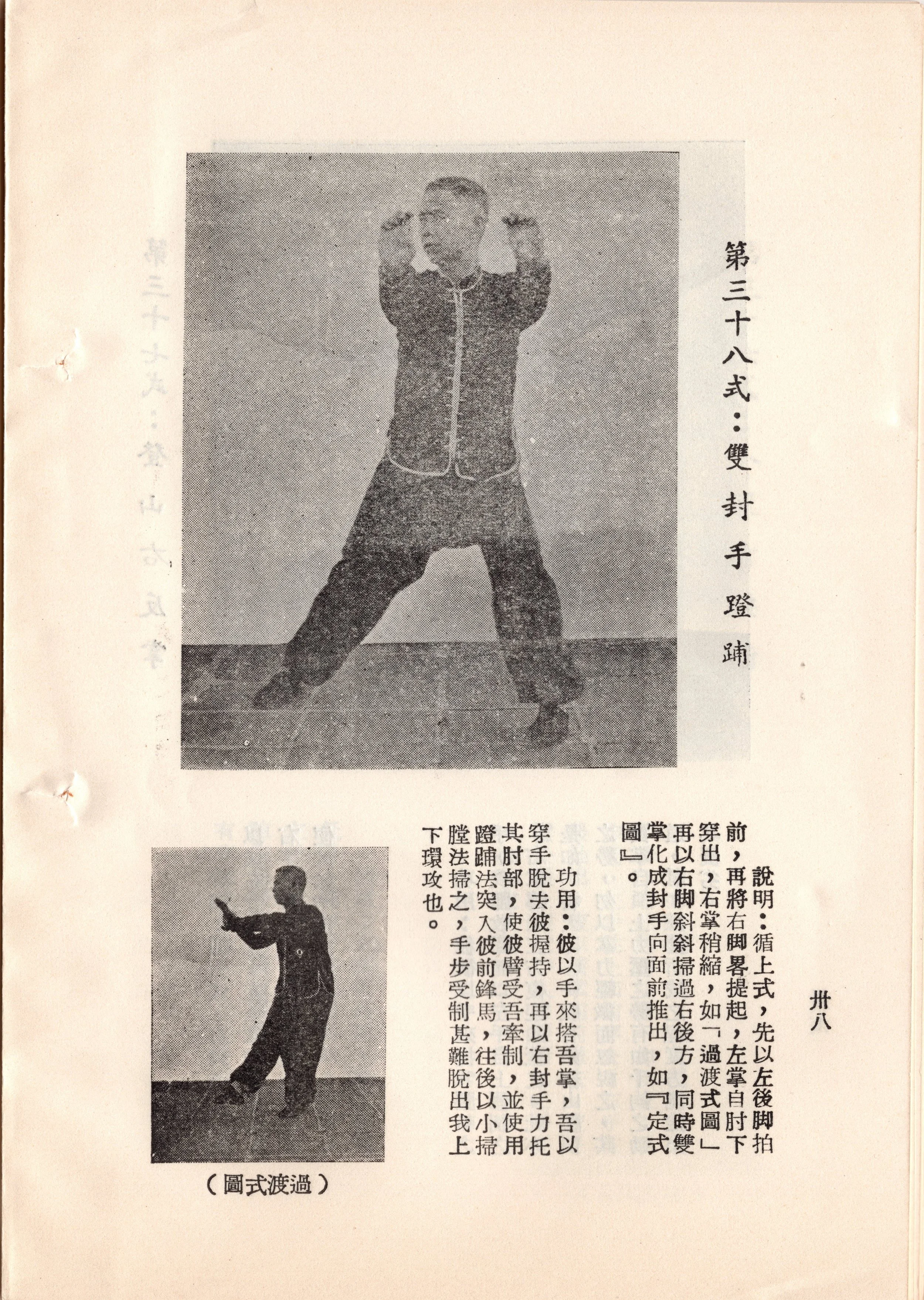 img022, 1:2 copy.jpg