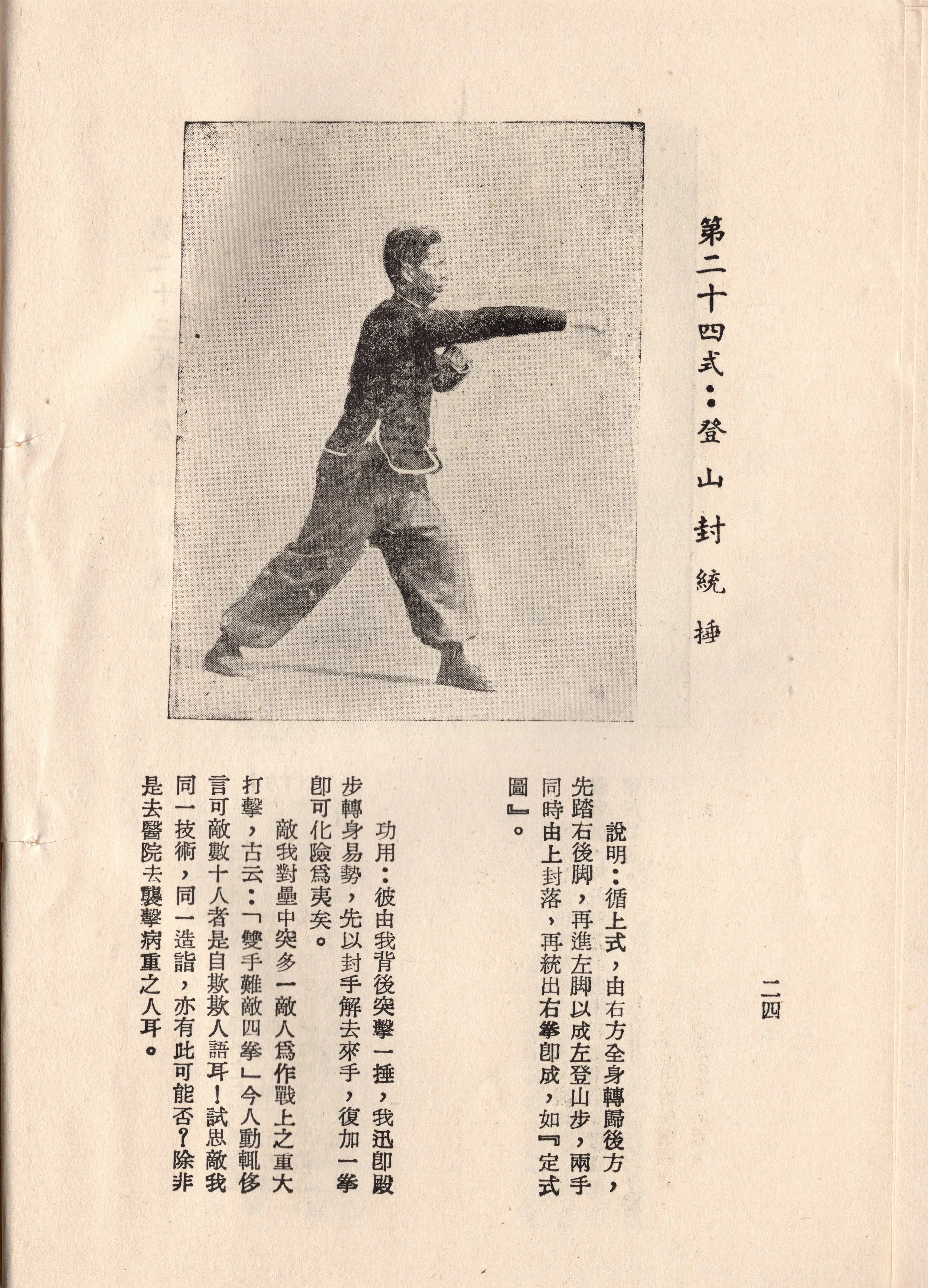 img015 copy.jpg