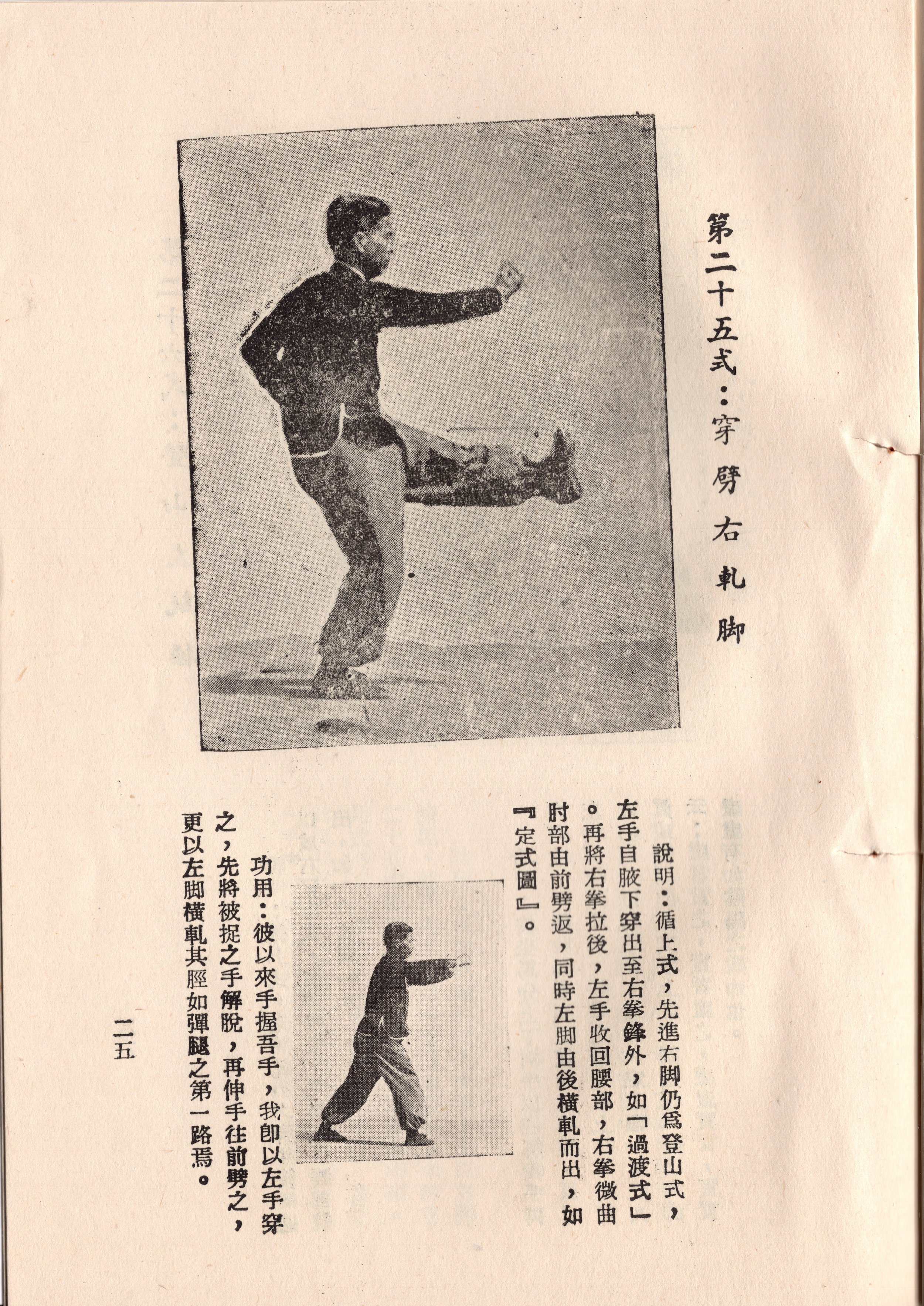 img015 copy 2.jpg
