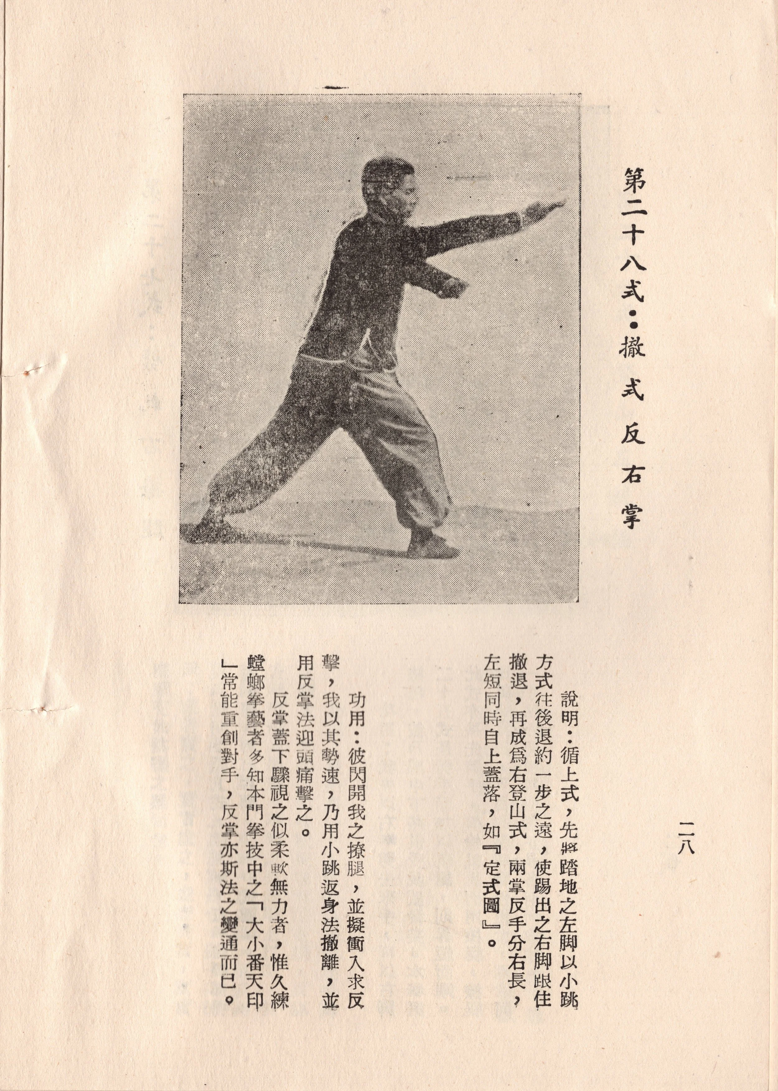 img017 copy.jpg