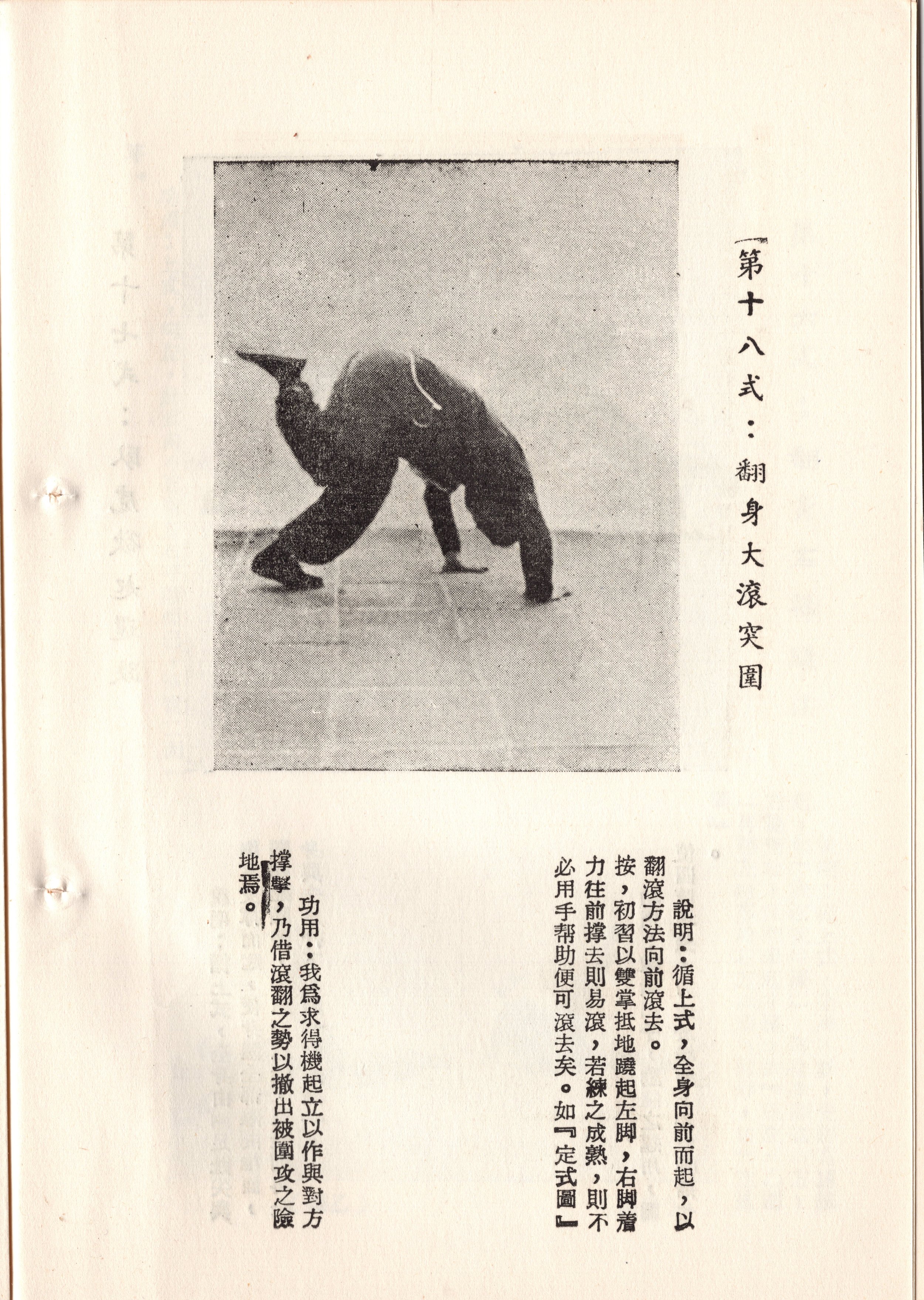 img013 copy.jpg