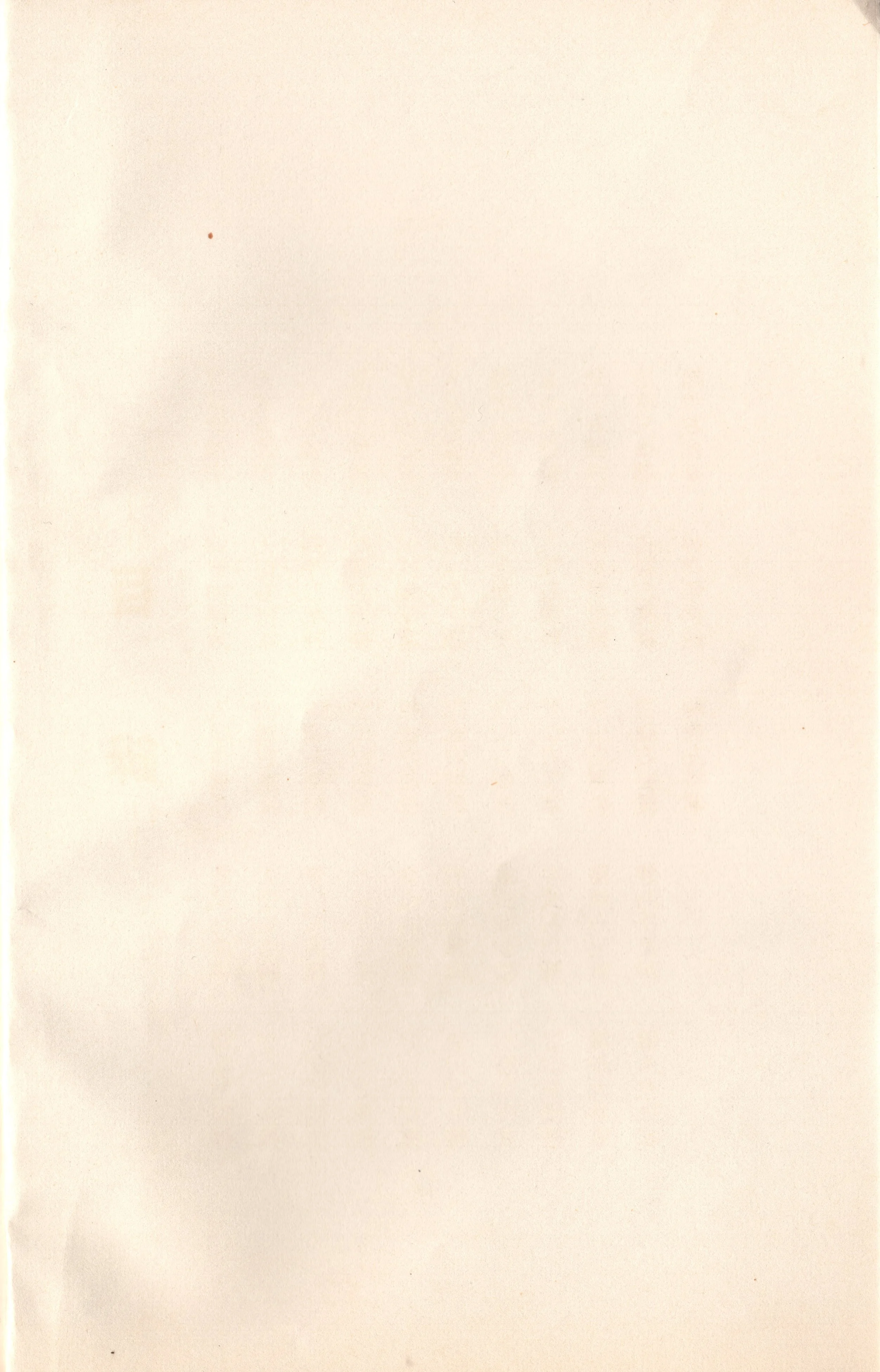 img003 copy.jpg