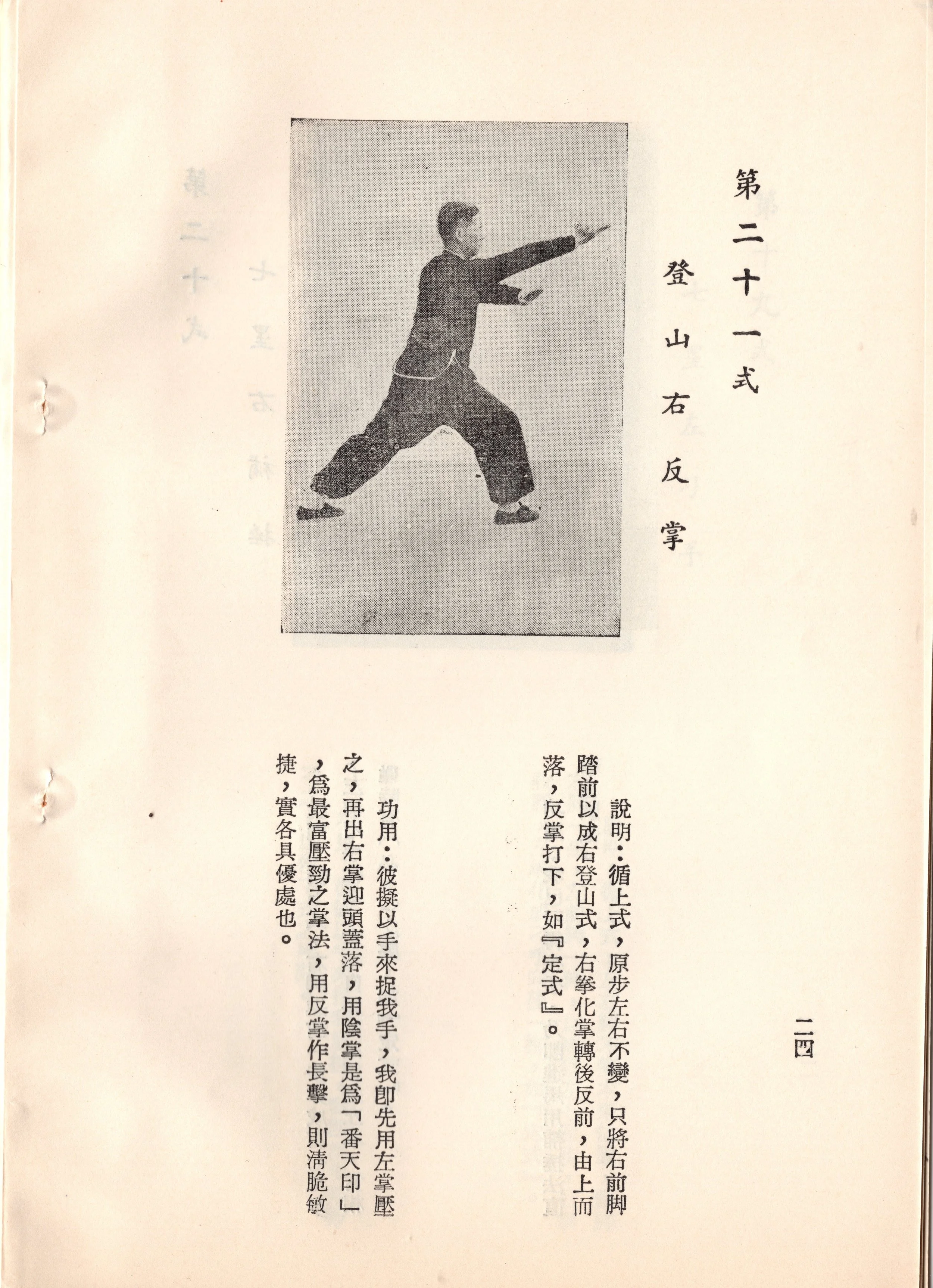 img016 copy.jpg