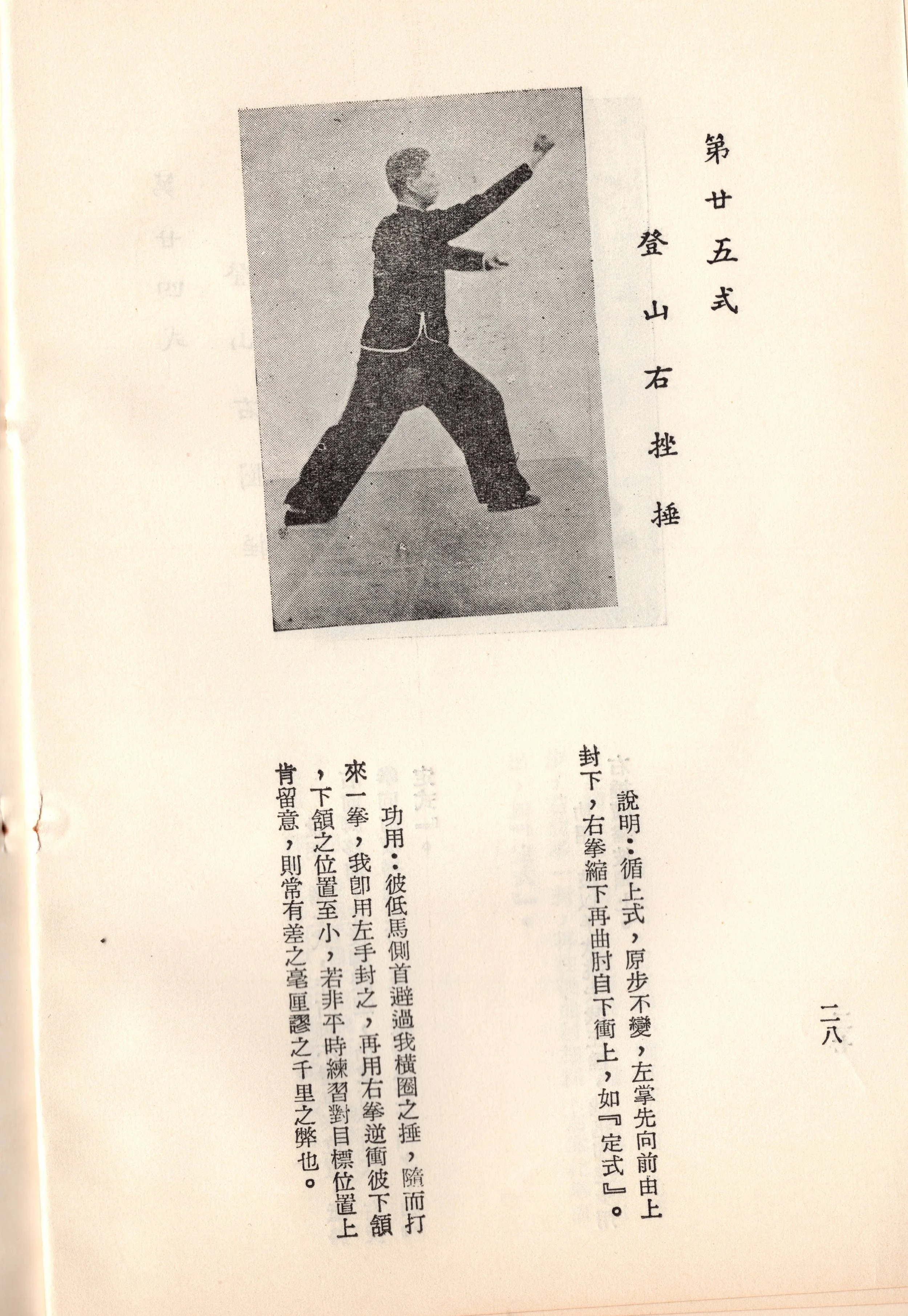 img018 copy.jpg