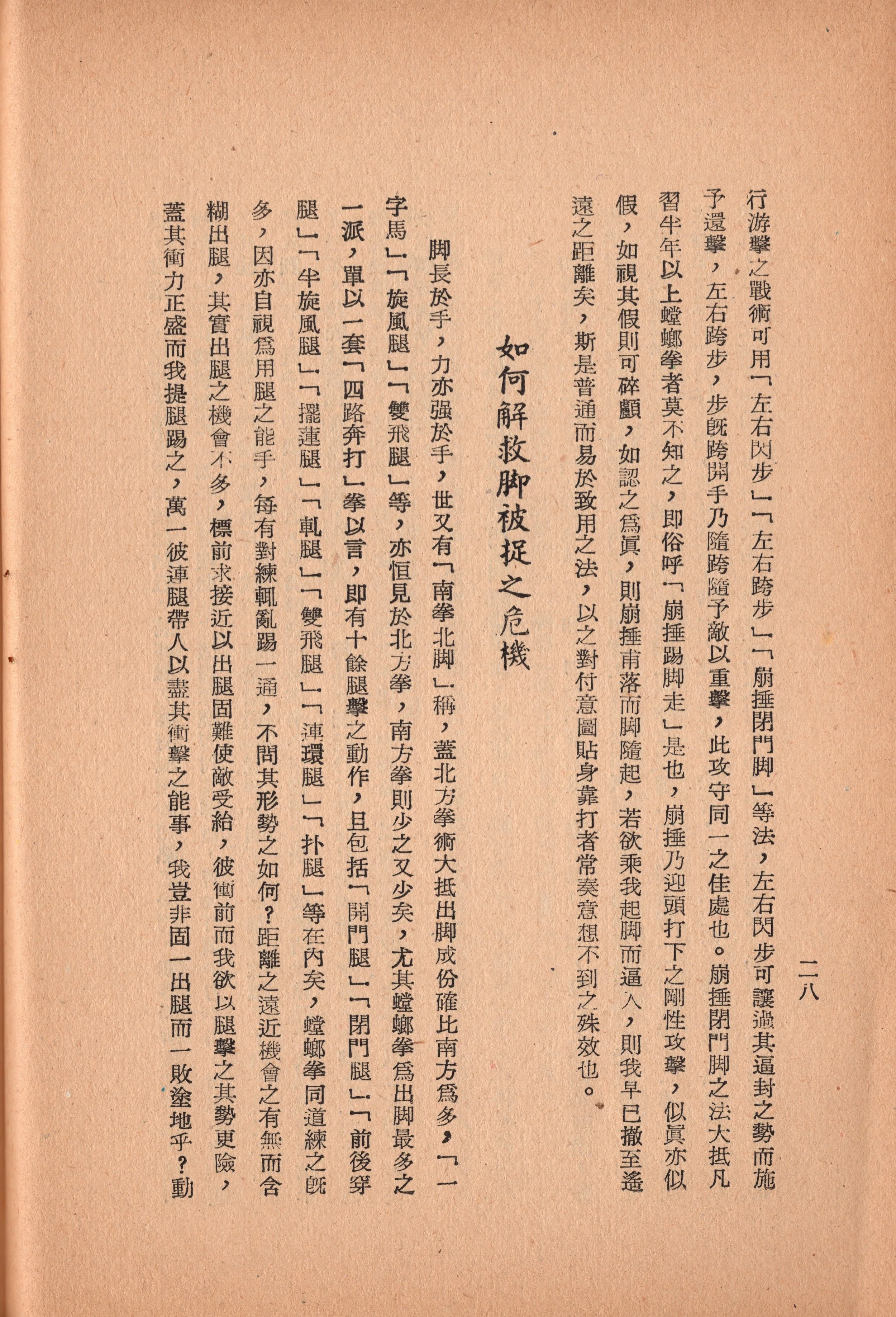 img018 copy.jpg