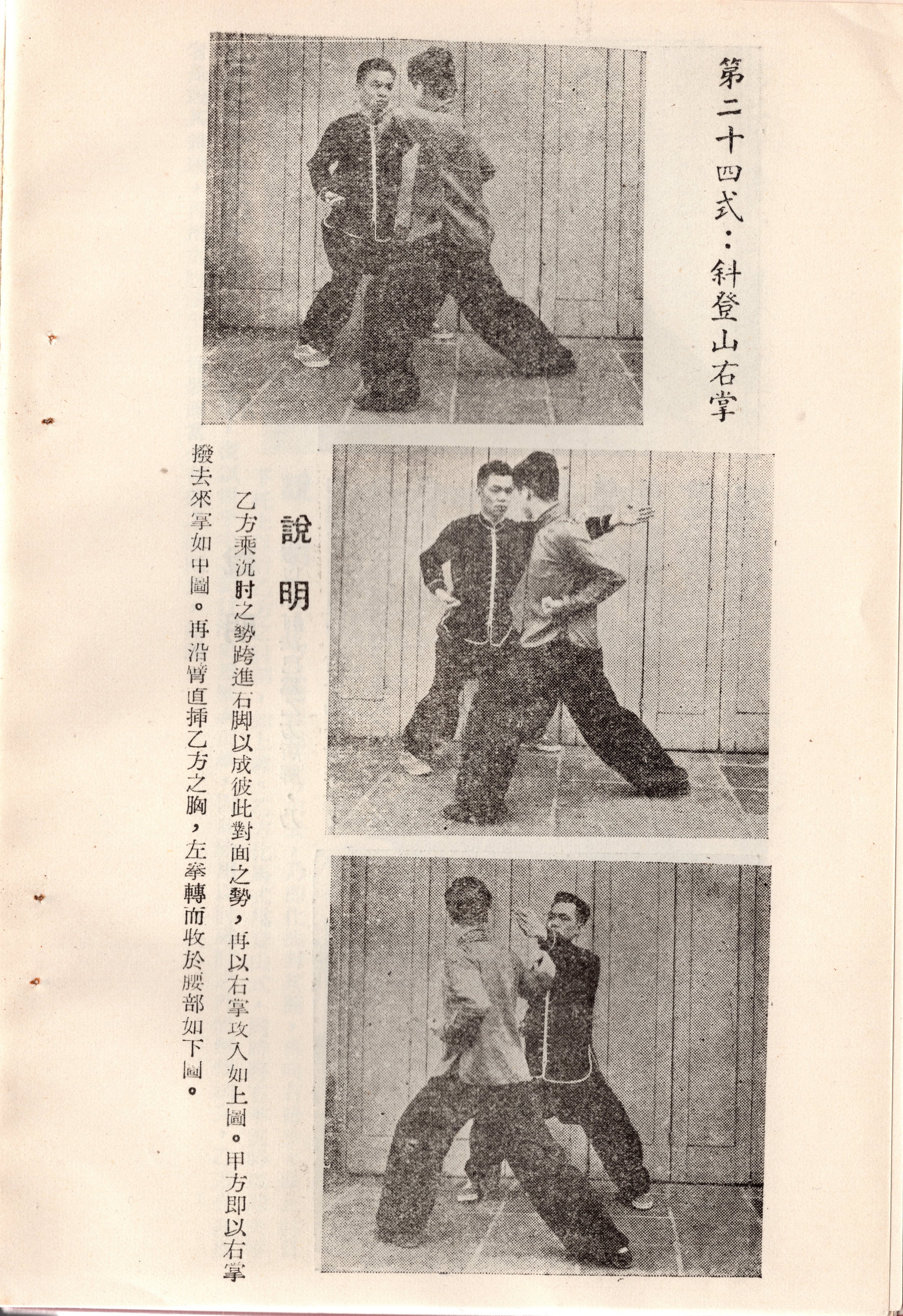 img015 copy.jpg