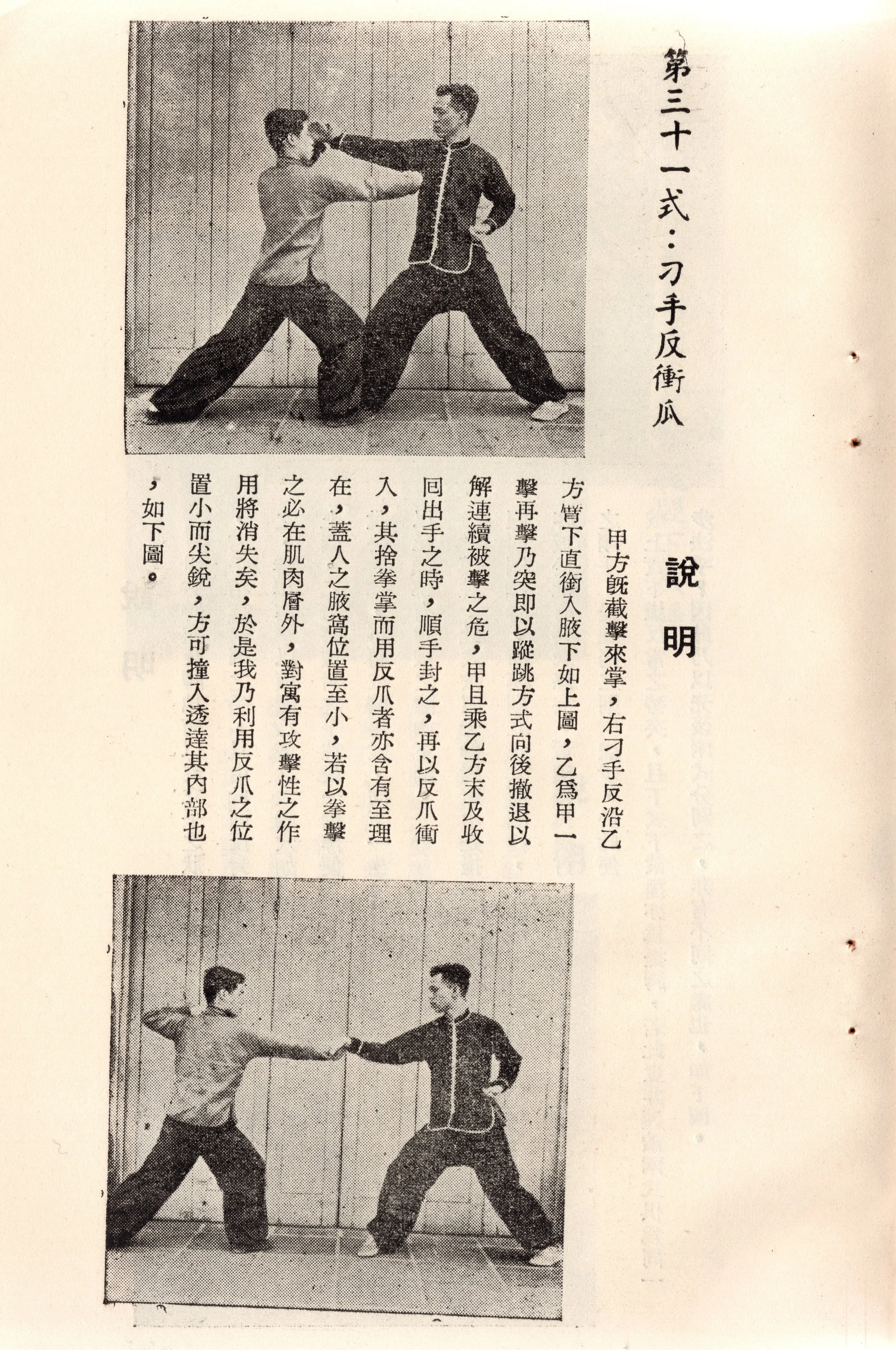 img018 copy 2.jpg