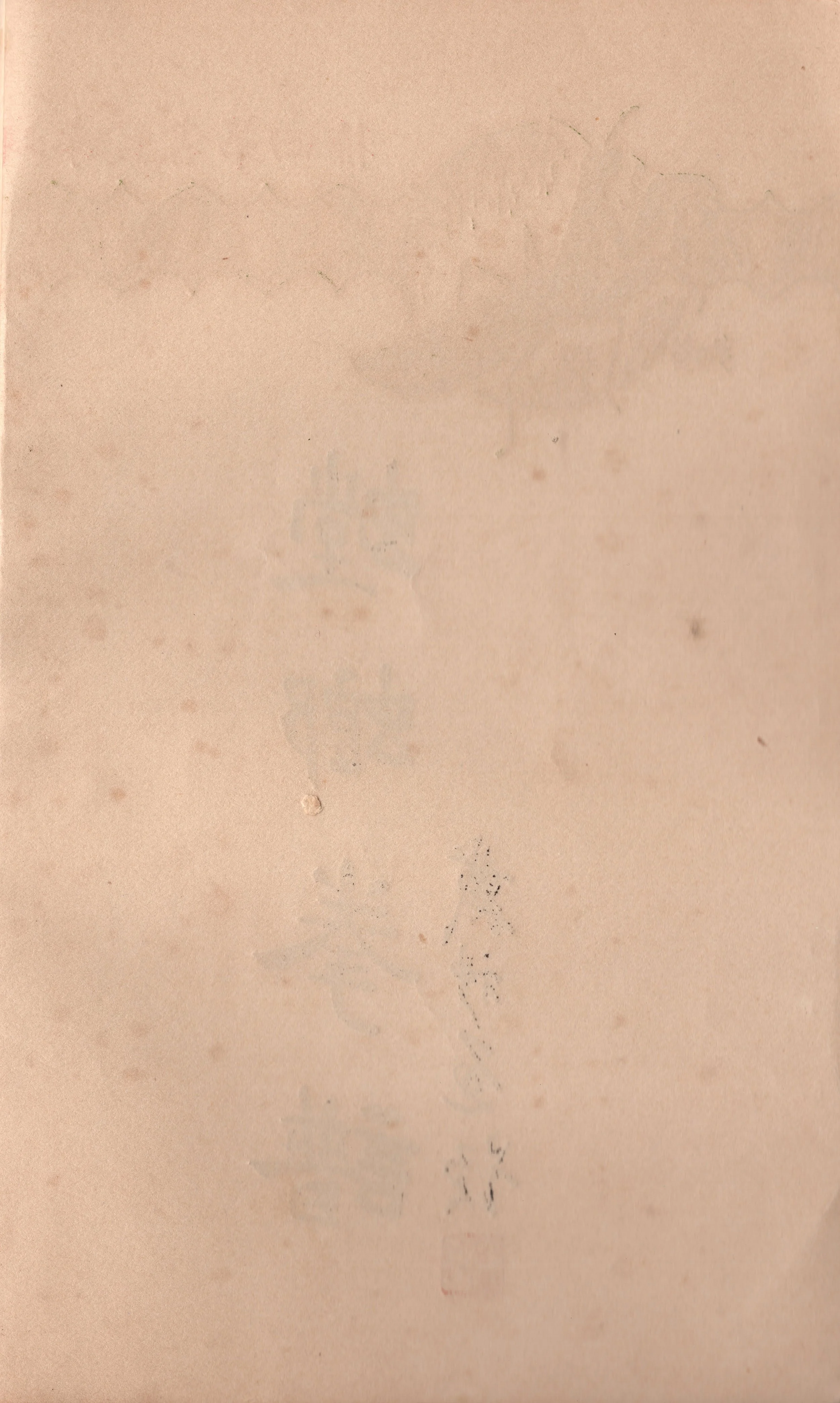 img002 copy.jpg