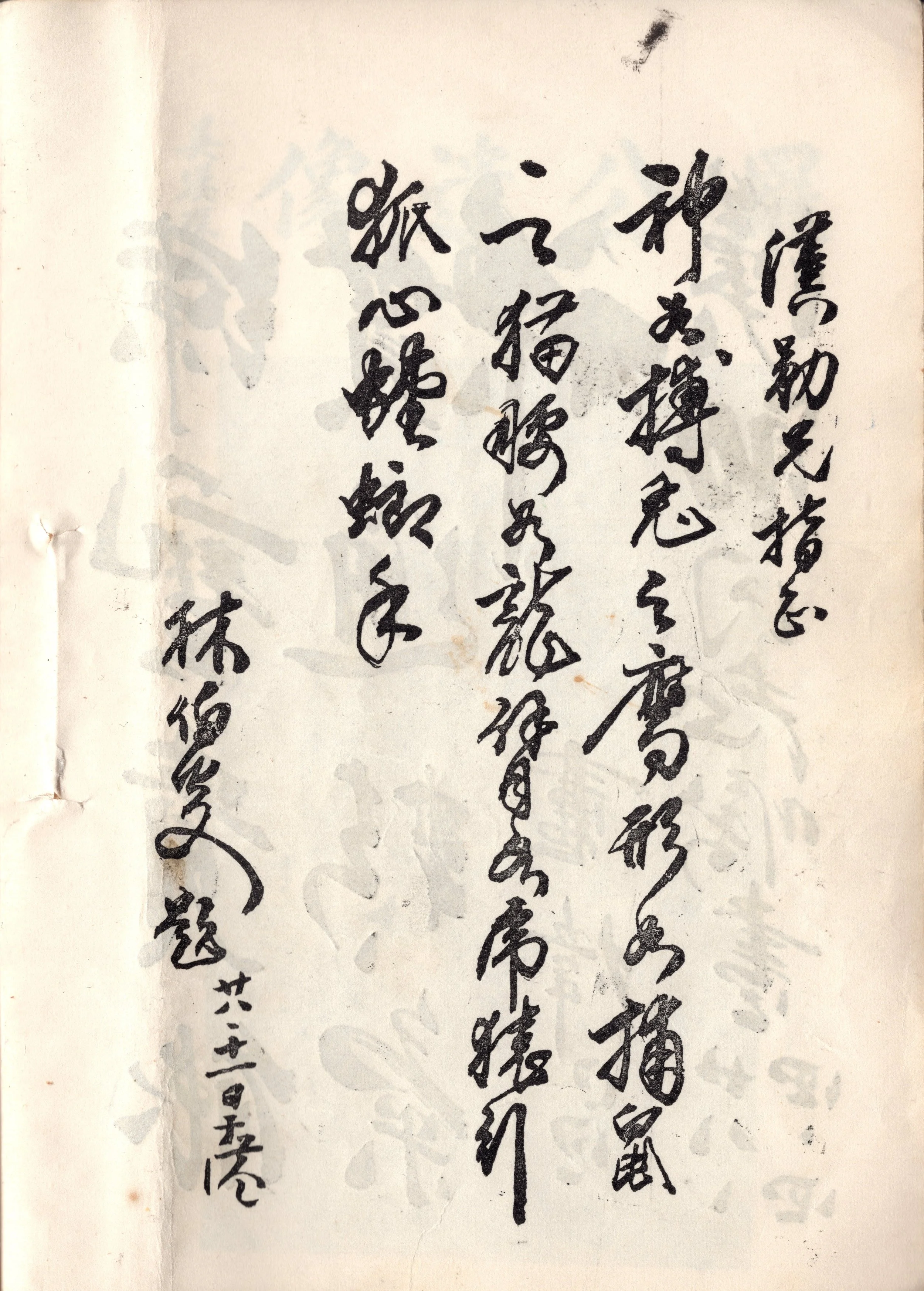 img005 copy.jpg