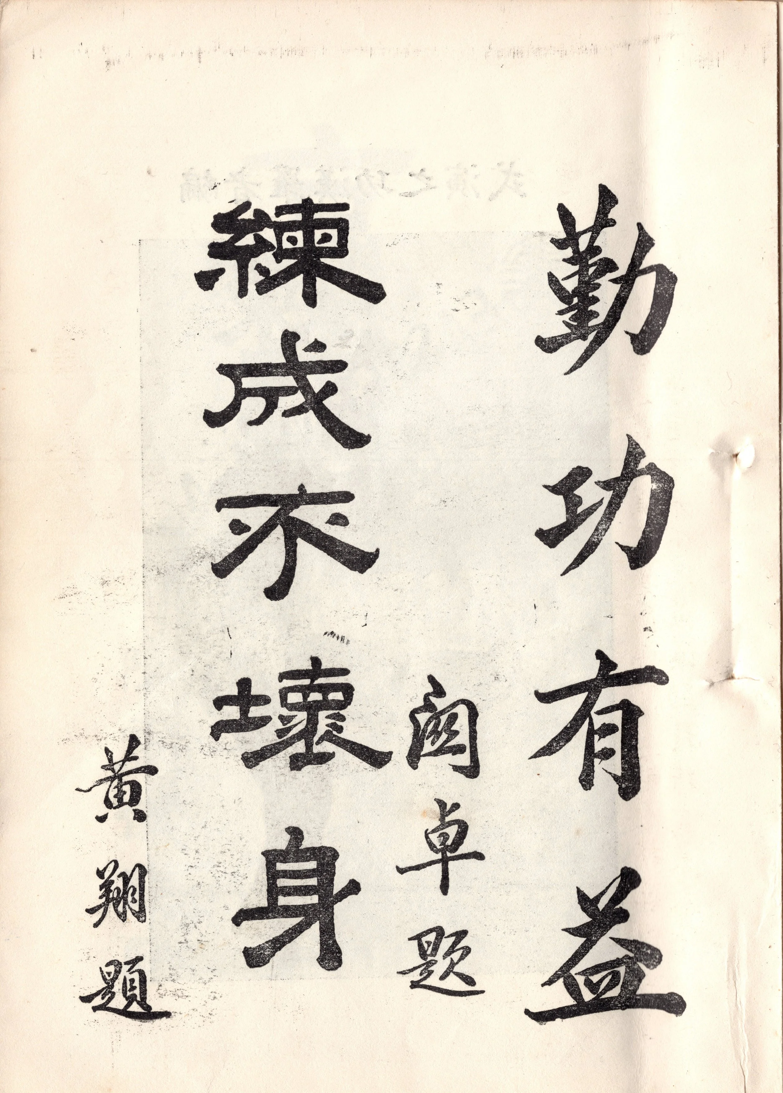 img006 copy 2.jpg