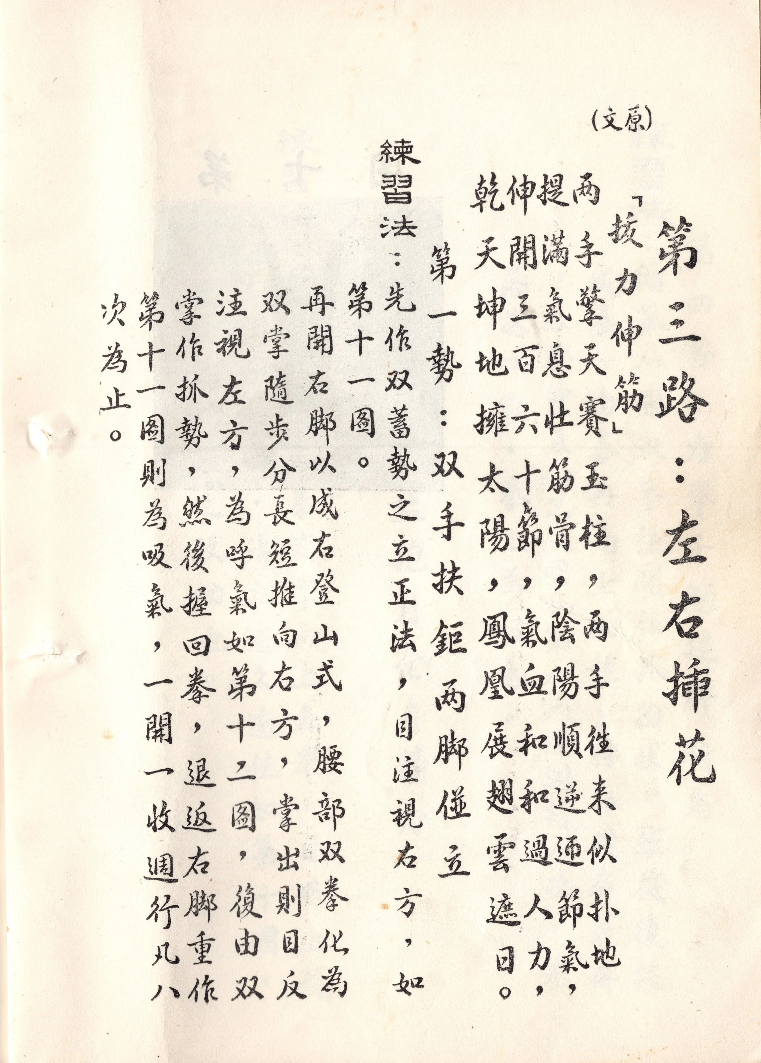 img018 copy.jpg
