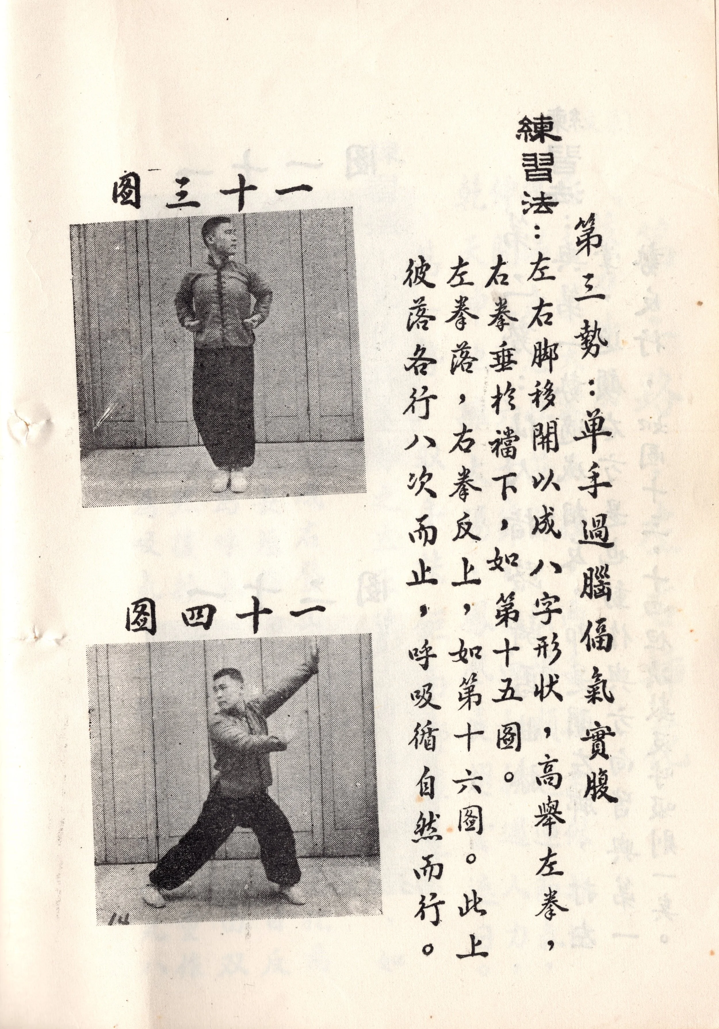 img019 copy.jpg