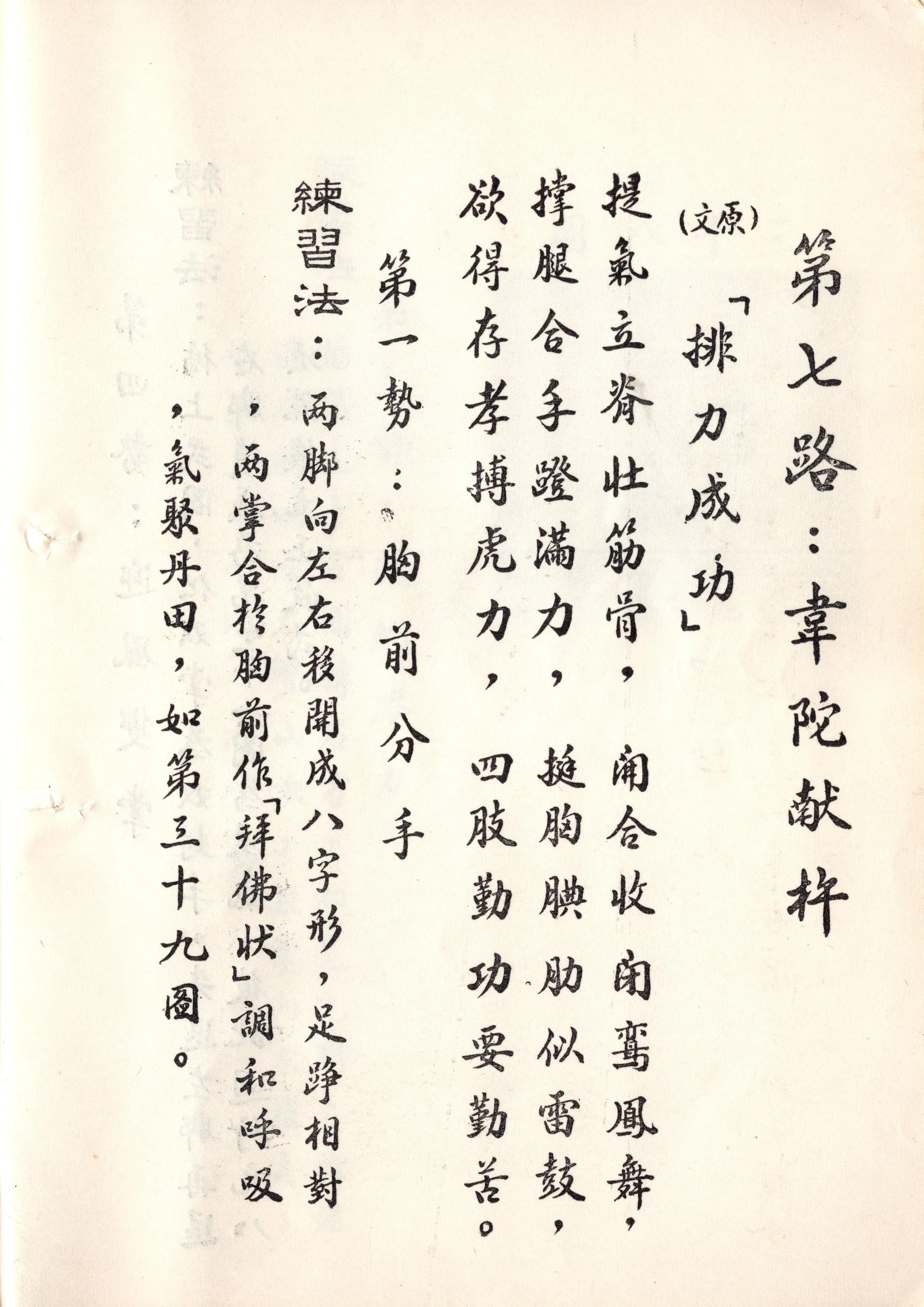 img028 copy.jpg