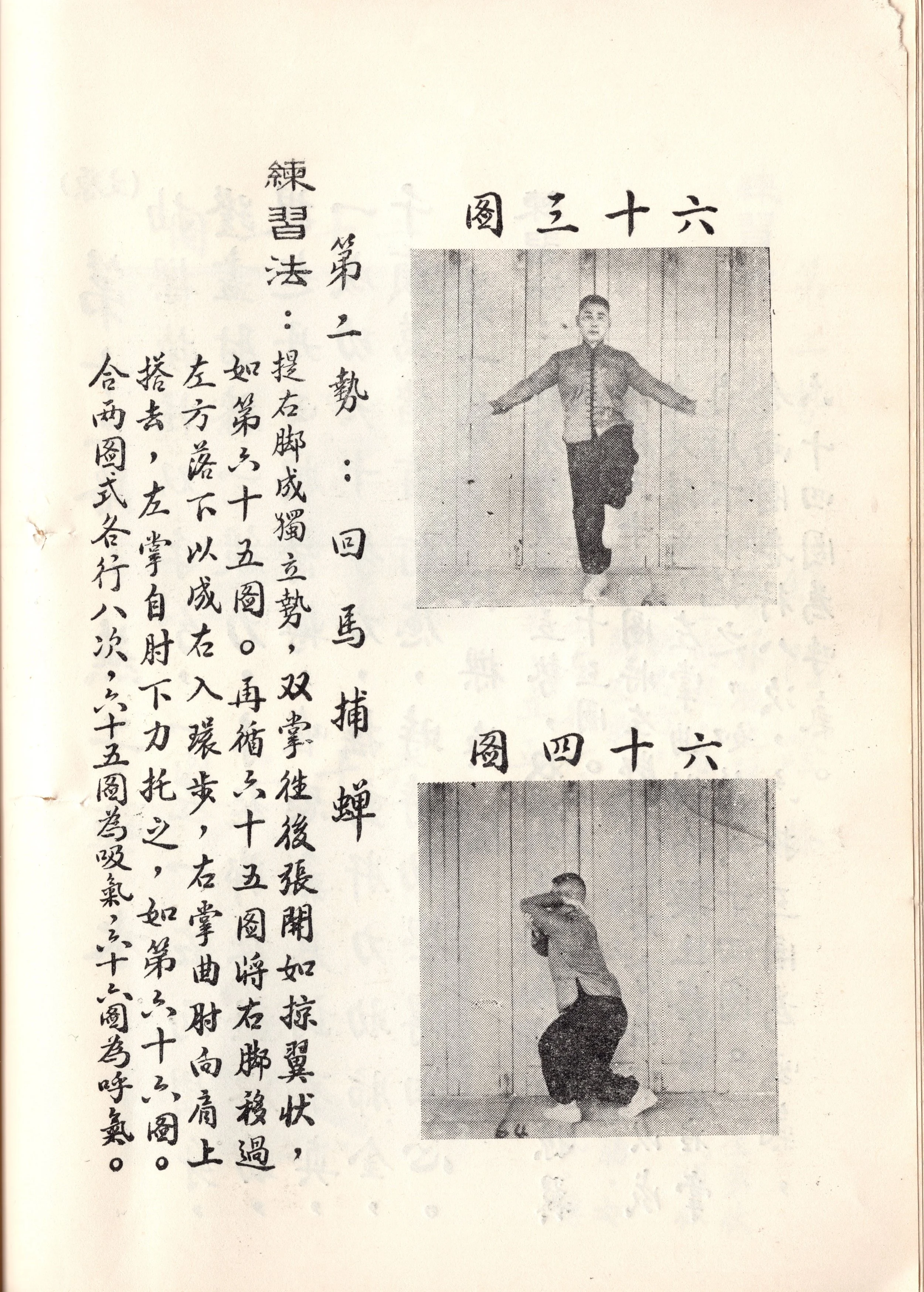 img038 copy.jpg