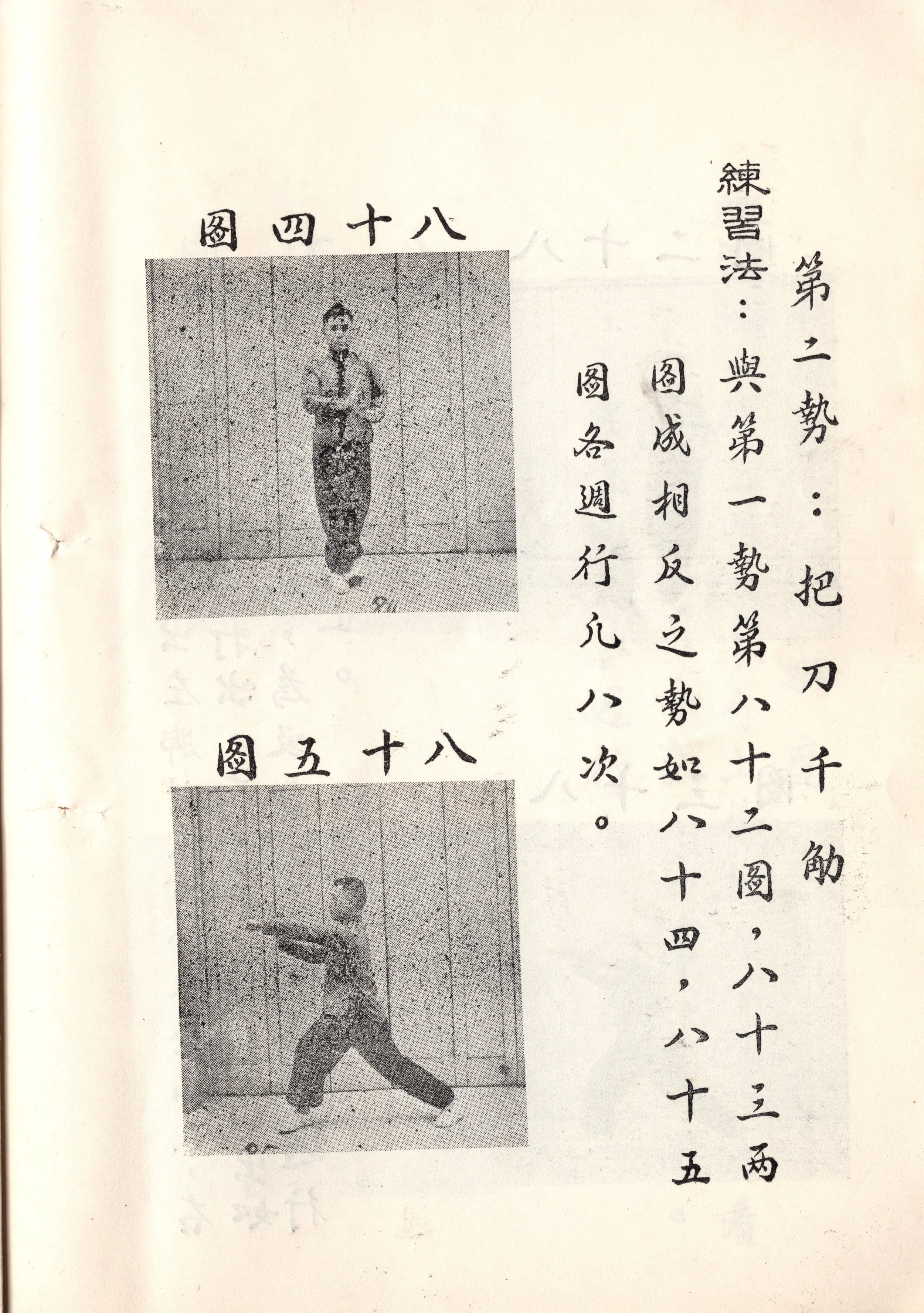 img045 copy.jpg