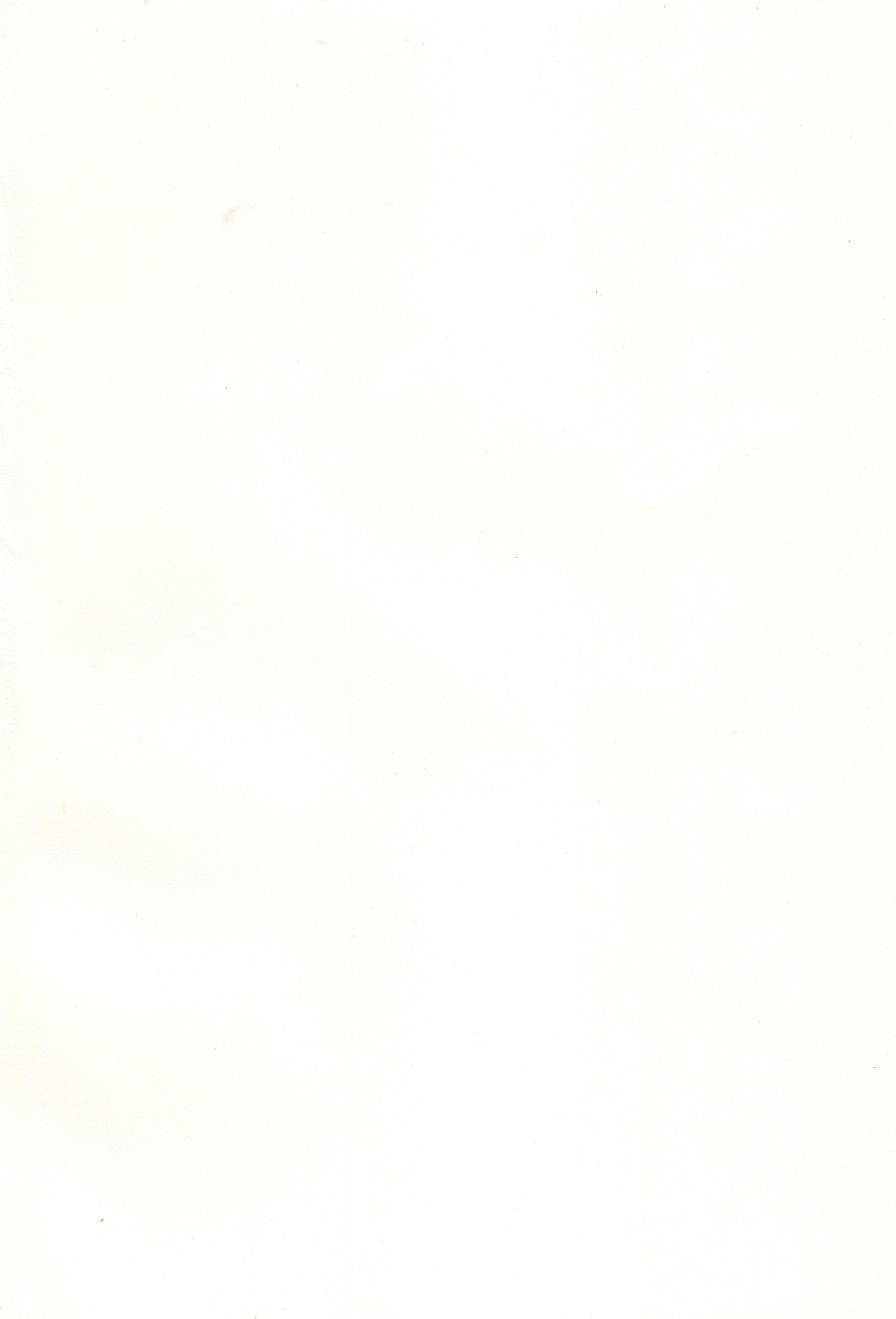 img003.jpg