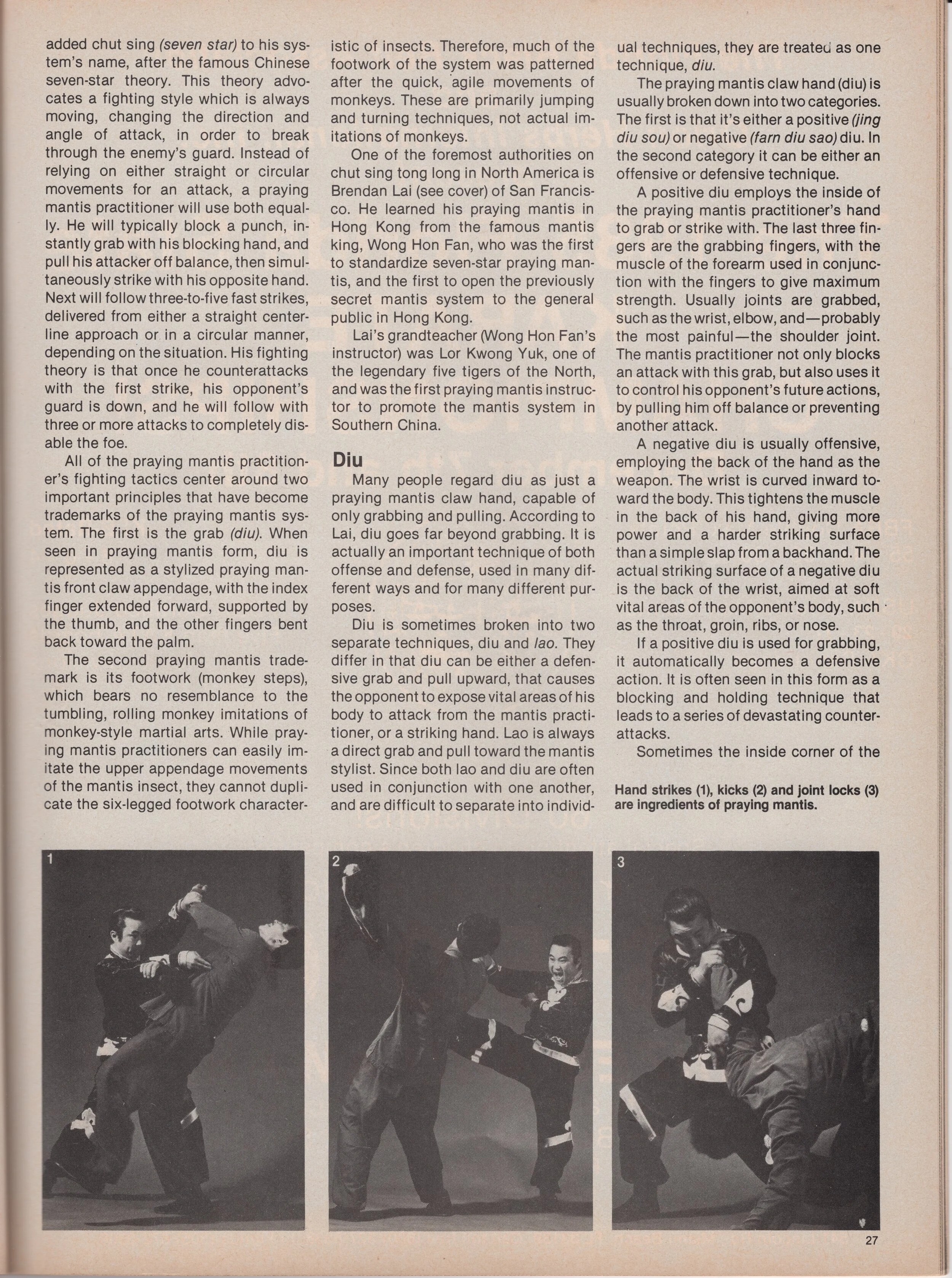 January 1986 Kung Fu Fighting2.jpg