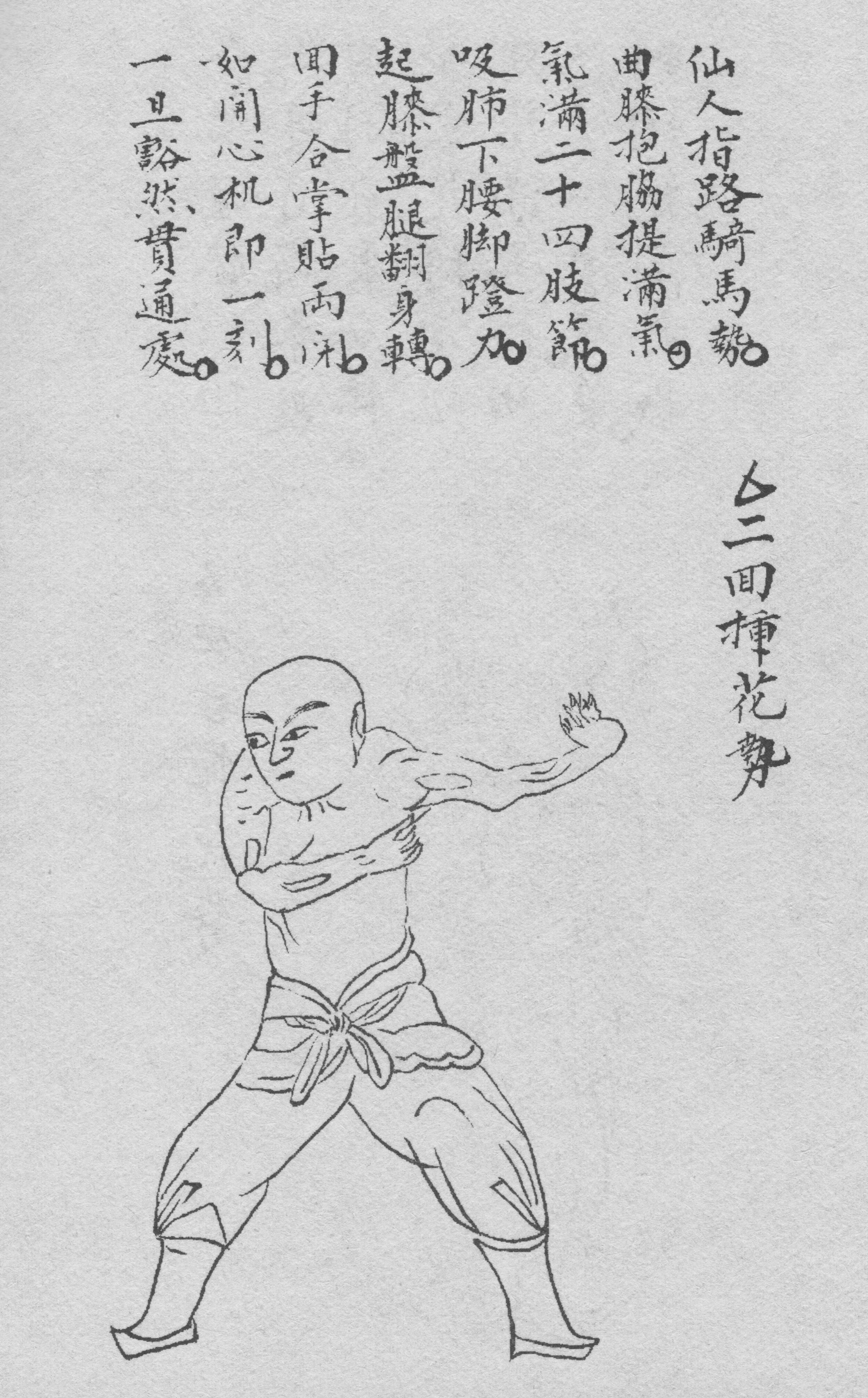 Fujian White Crane Chinese martial arts Tai chi, shuang, tiger, technic,  shoe png | PNGWing