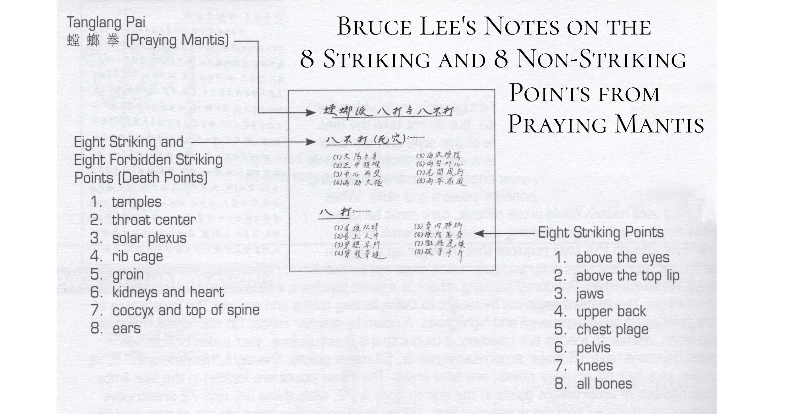 Above: Bruce Lee’s copy of Praying Mantis’ 8 Hits/8 No Hits, published posthumously in The Dao of Jeet Kune Do, 1975. Translation by Eric Chen.