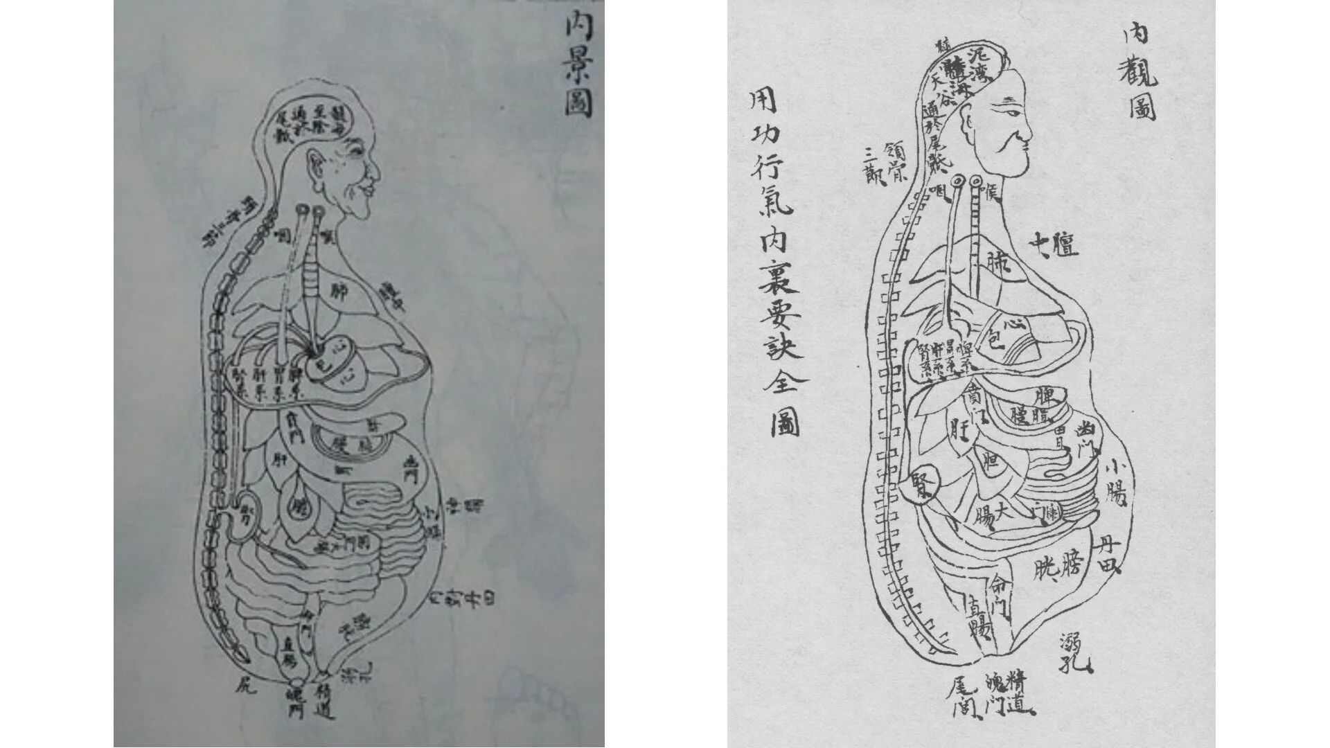 Right: From the Praying Mantis manual Shaolin Authentics: a hand-drawn diagram of the organs,  some of which were targets of the 8 Hits/8 No Hits. Left: A Chinese woodcut illustration from a popular medicine book of the 1600’s, almost certainly the …