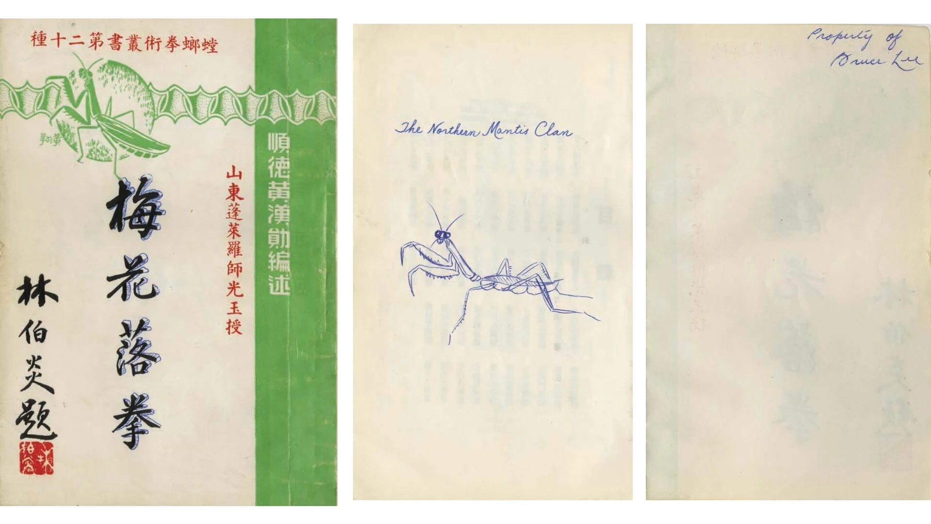 Bruce Lee: The Mantis Connection — The Ravenswood Academy
