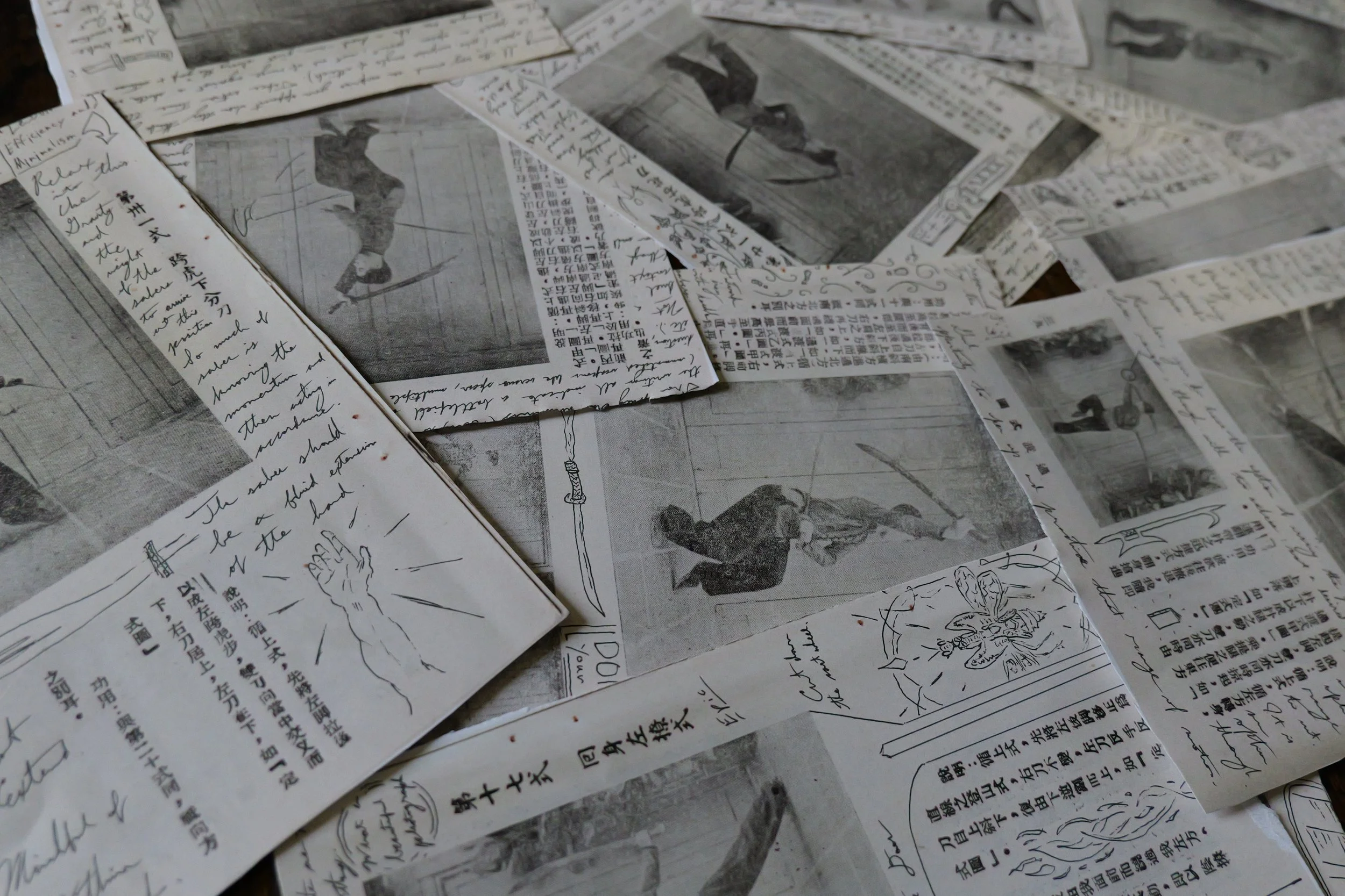 A martial arts manual, divided up into individual annotated pages that are scattered on the ground. These are from praying mantis master Wong Honfan's manual on double sabers.