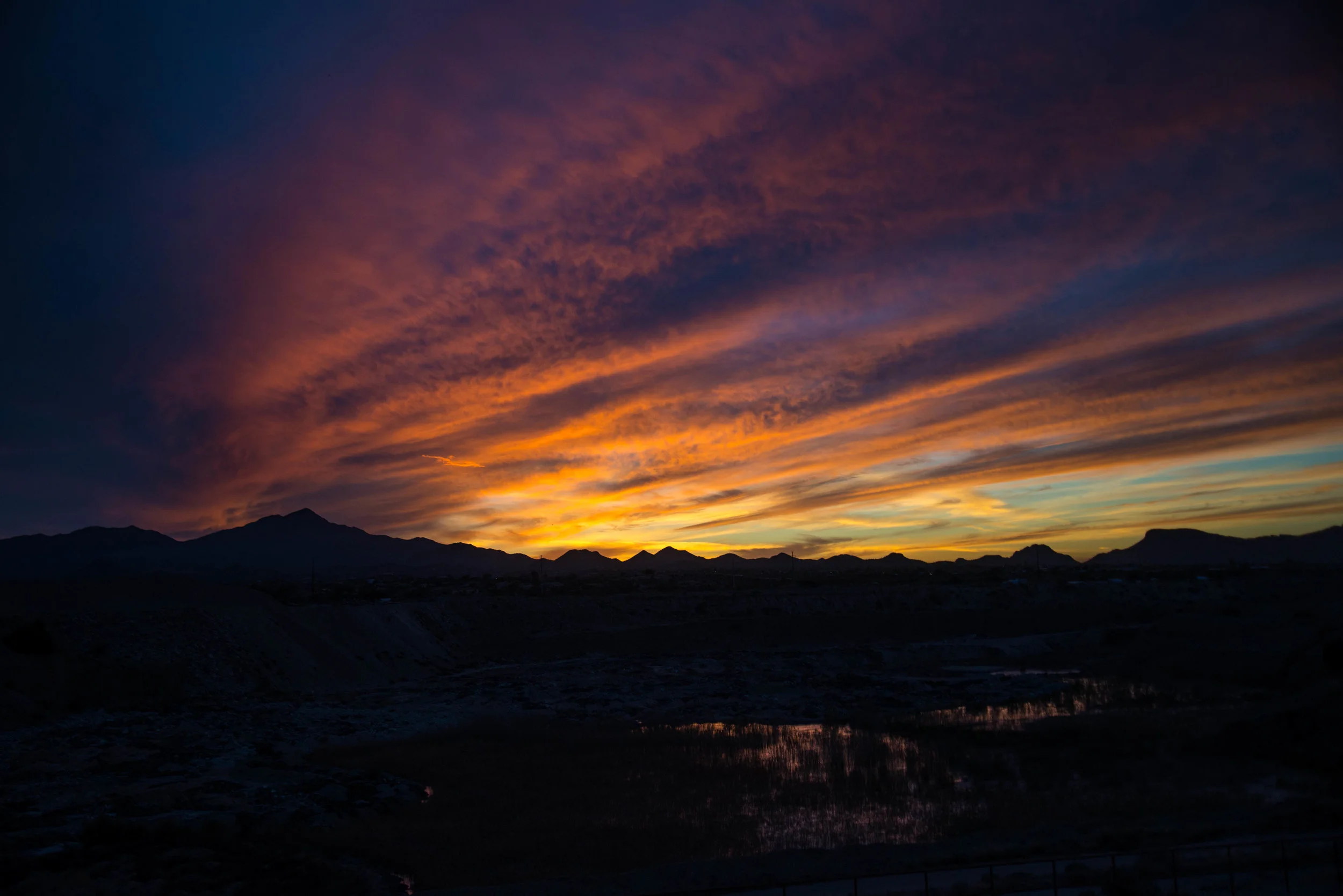 DSC_4471.jpg