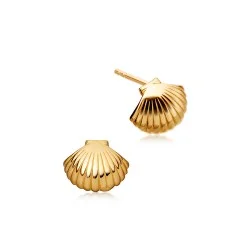 Astley-Clarke-Mini-Shell-Biography-Stud-Earrings-Yellow-Gold-Vermeil-39005YNOE.jpg