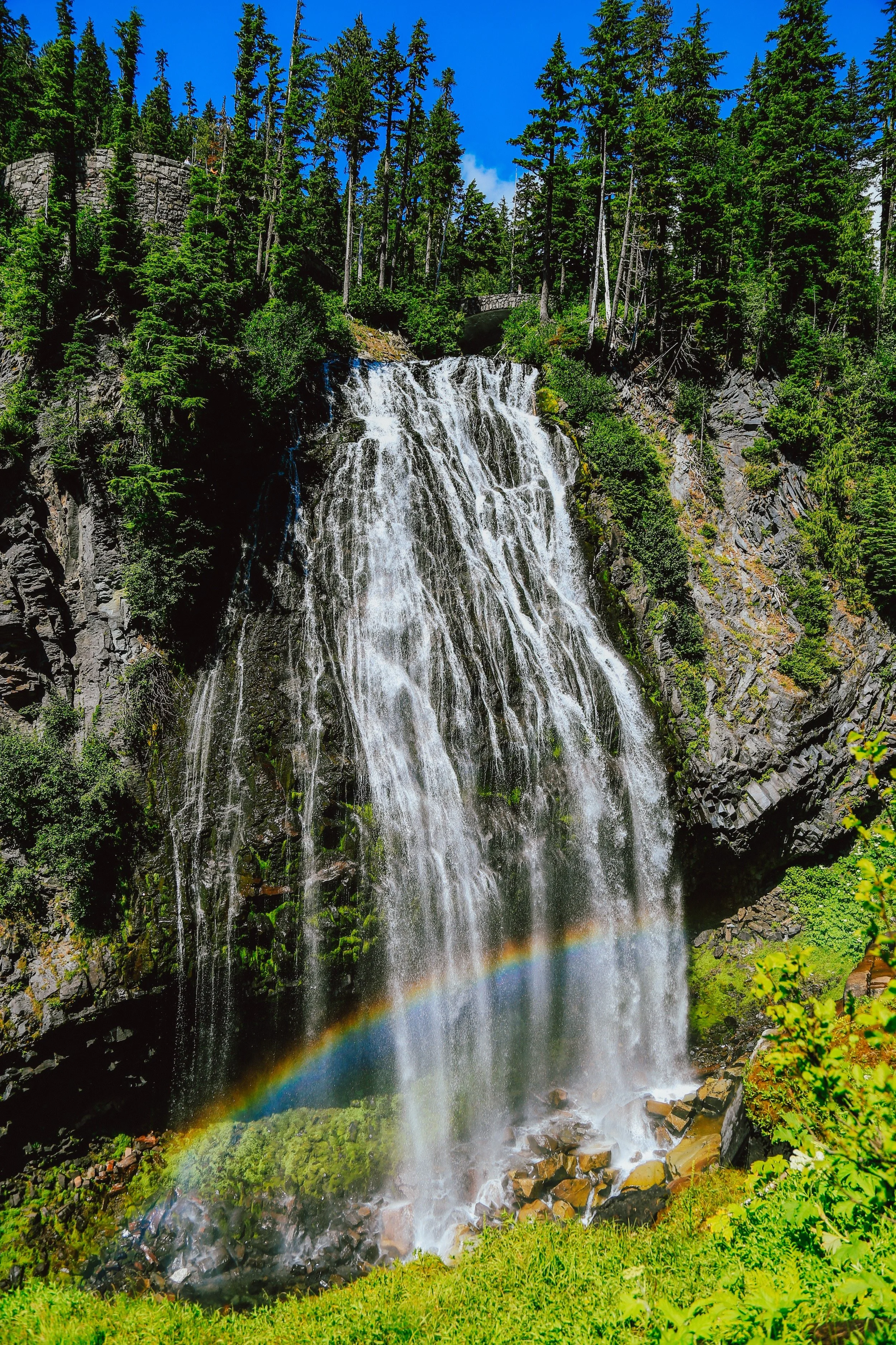 _MG_7956.jpg