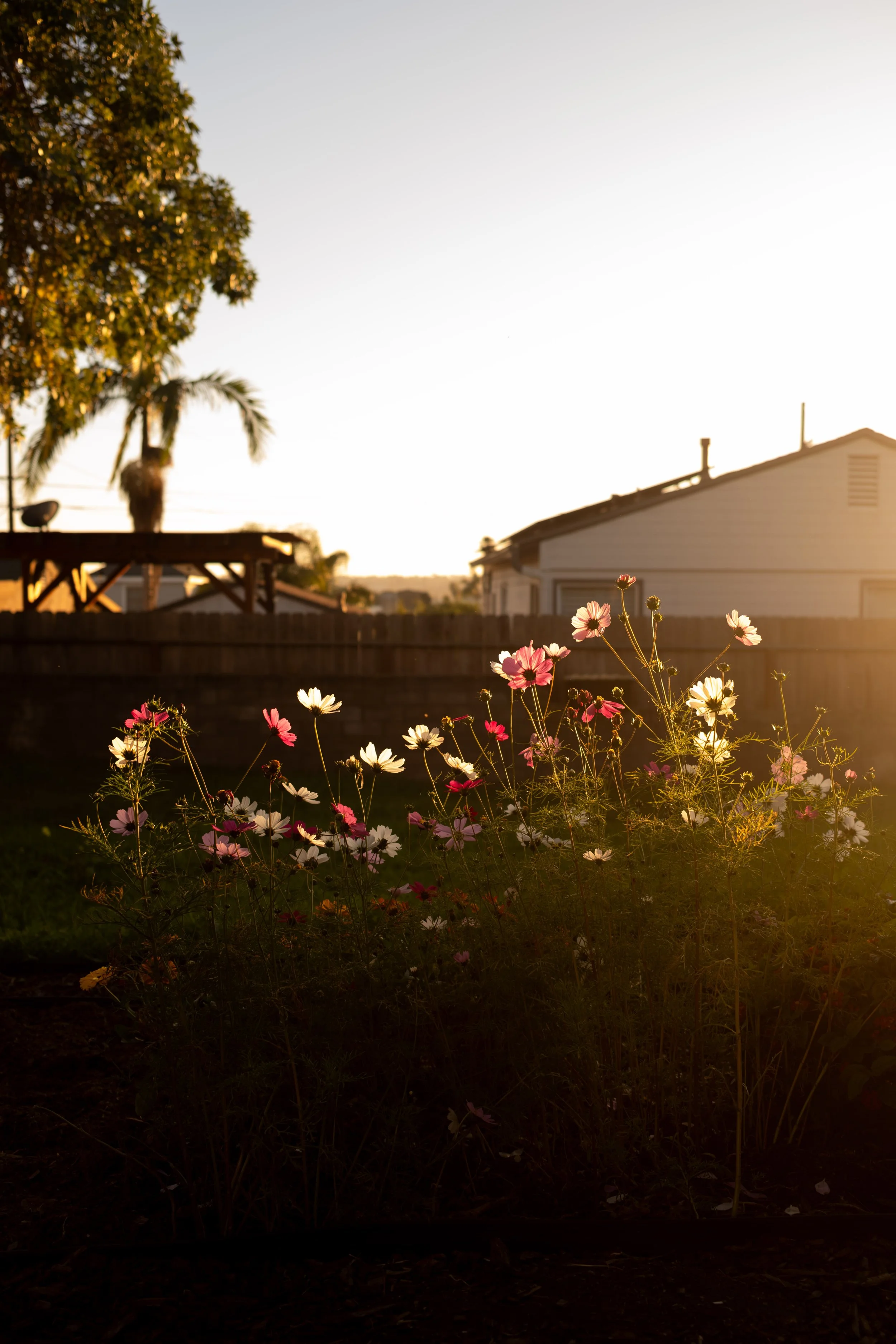 Ojeda Superbowl -19.jpg