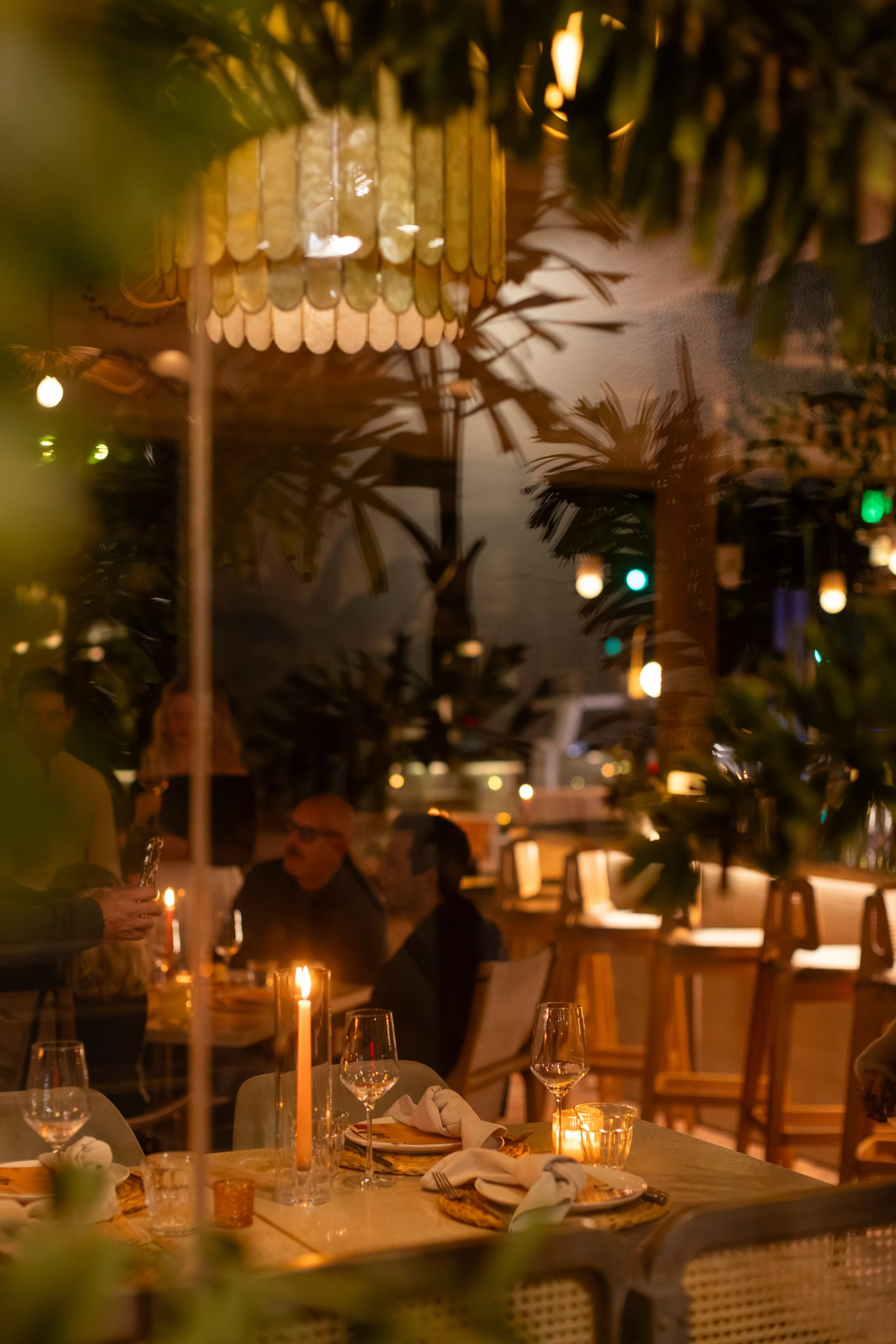 Waverly 5 Year-01.jpg