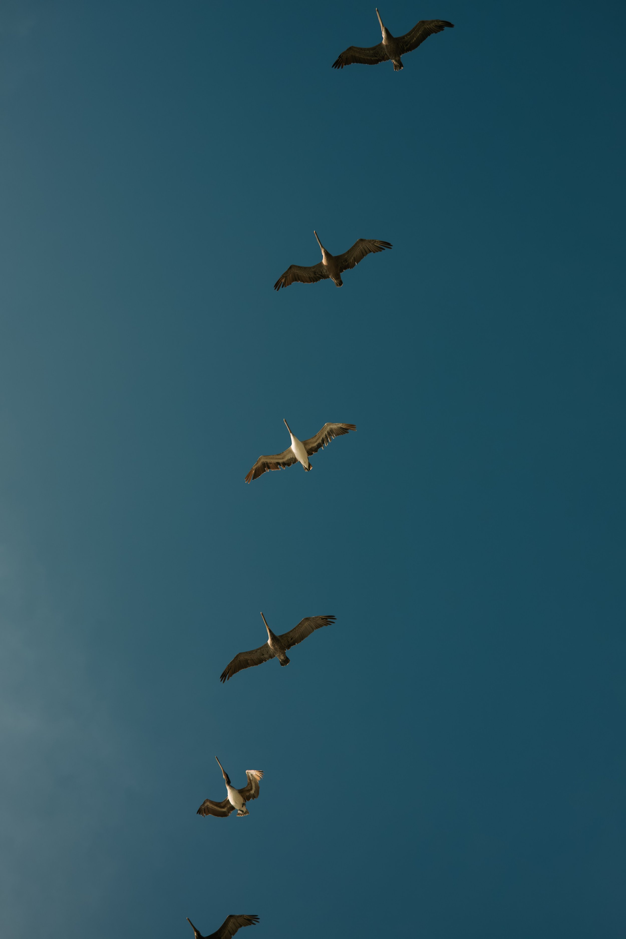 DSCF5960.jpg