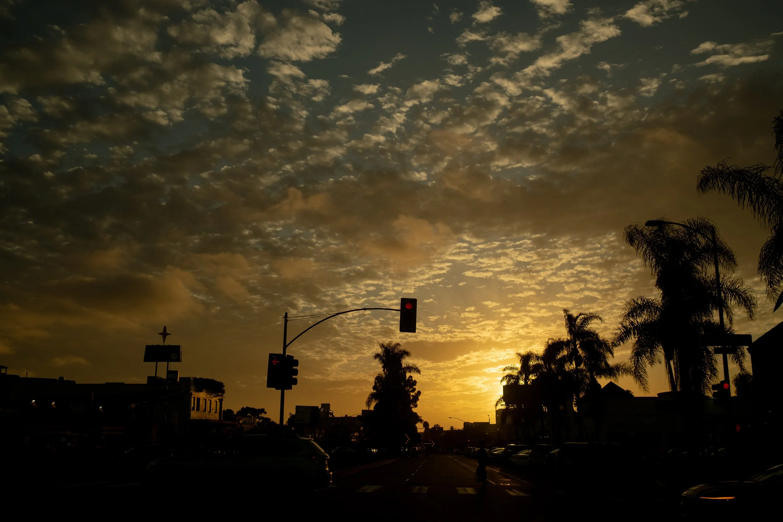 DSCF5738.jpg