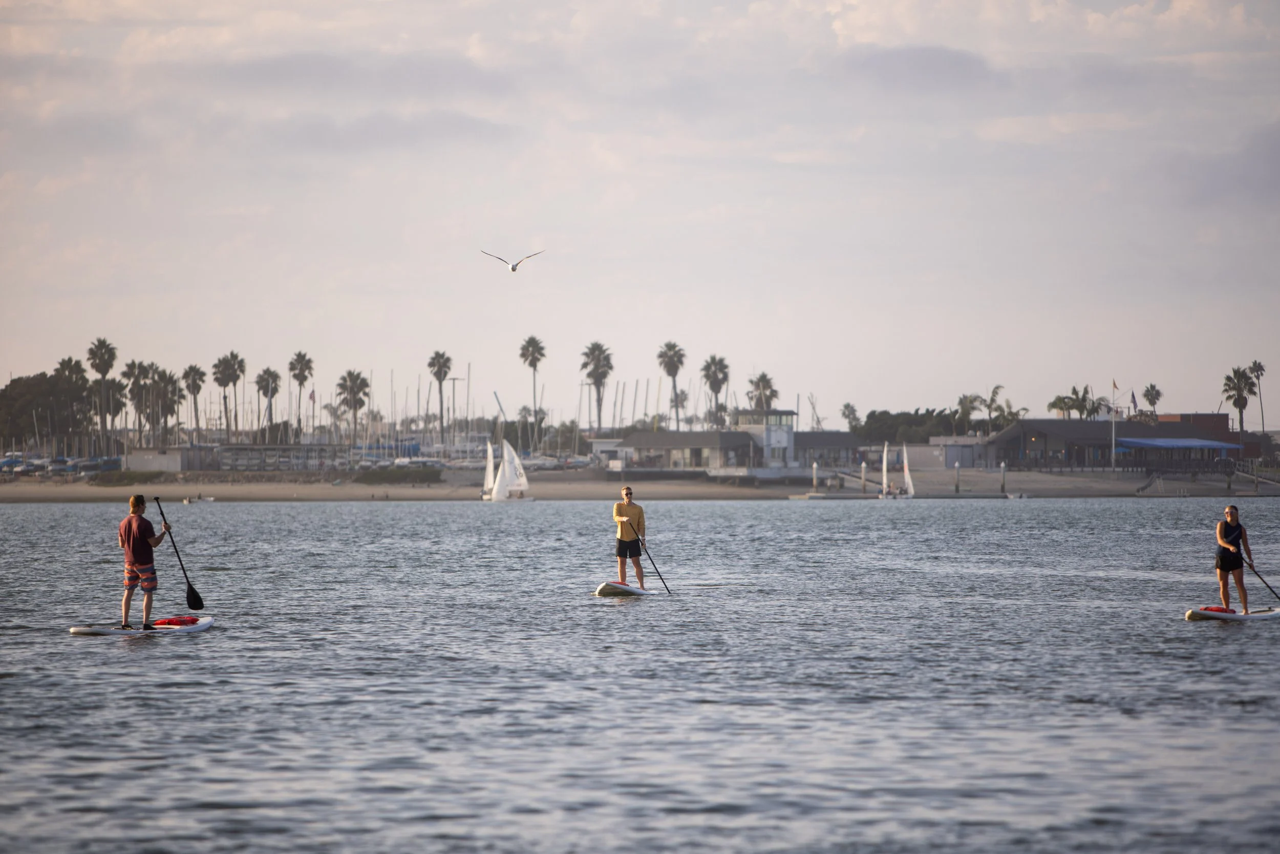 Team Week 2025-356.jpg