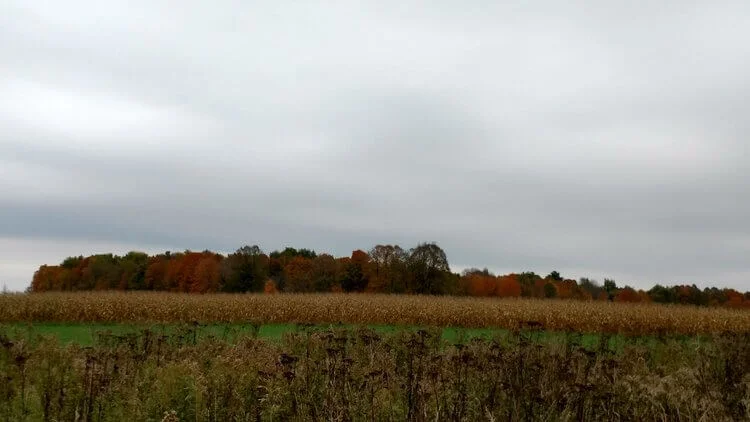 Farm photography