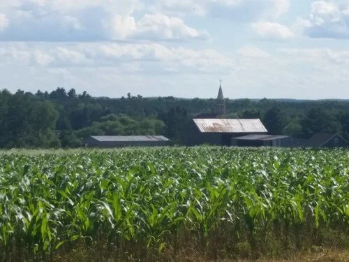 Lush flowing farm