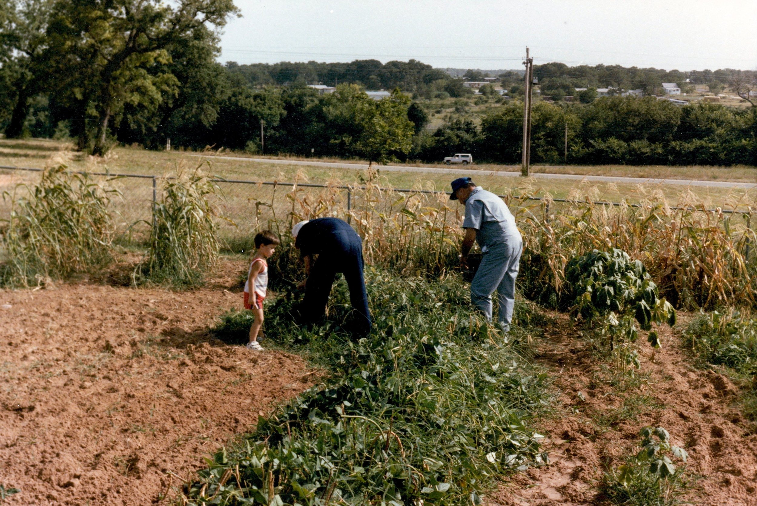 Lil' Brett was doin' work in the garden with Lloyd & G.I., circa 1984. I'm sure I was TONS of help!