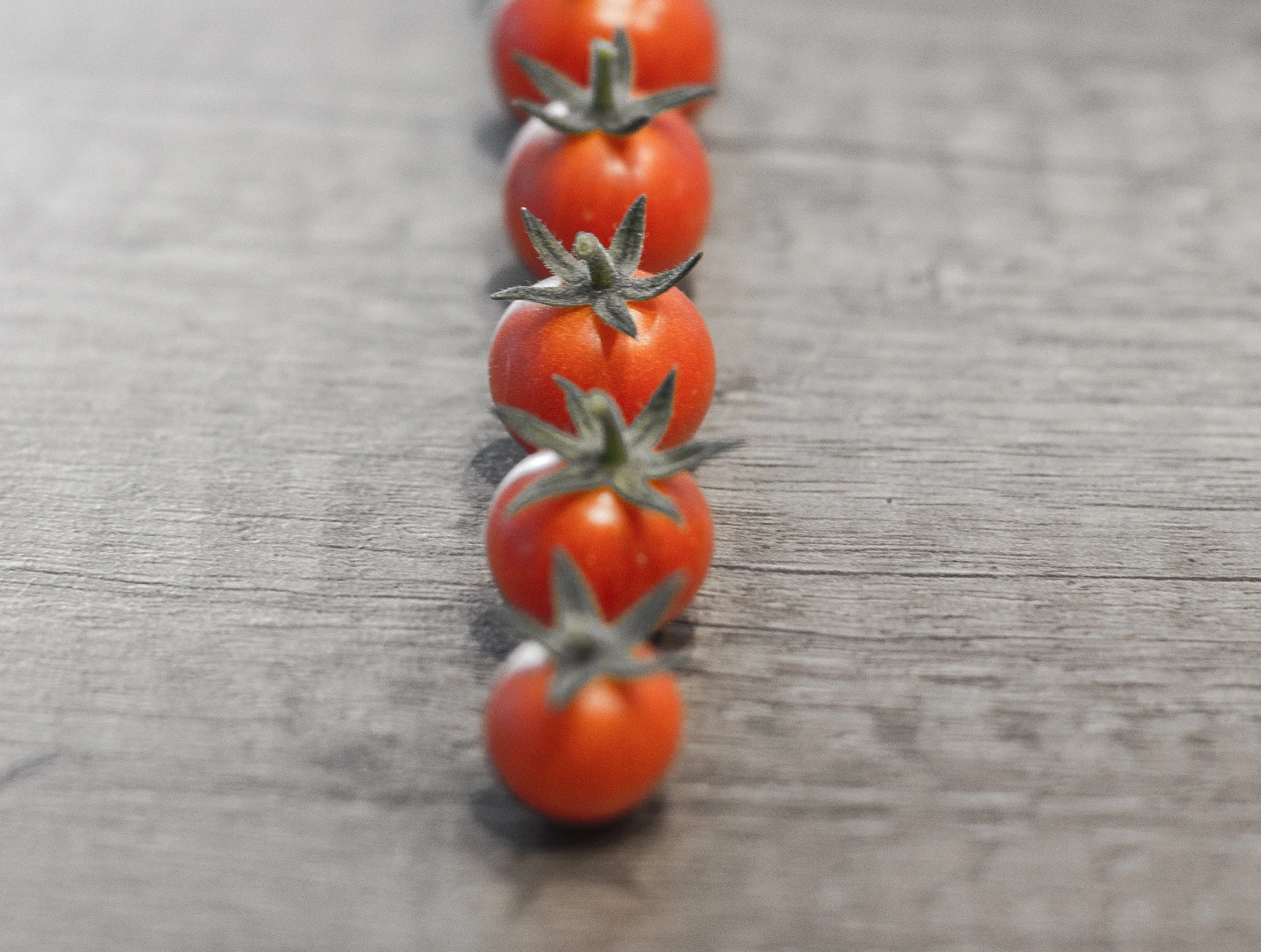 How a group of Florida tomato growers could help derail NAFTA