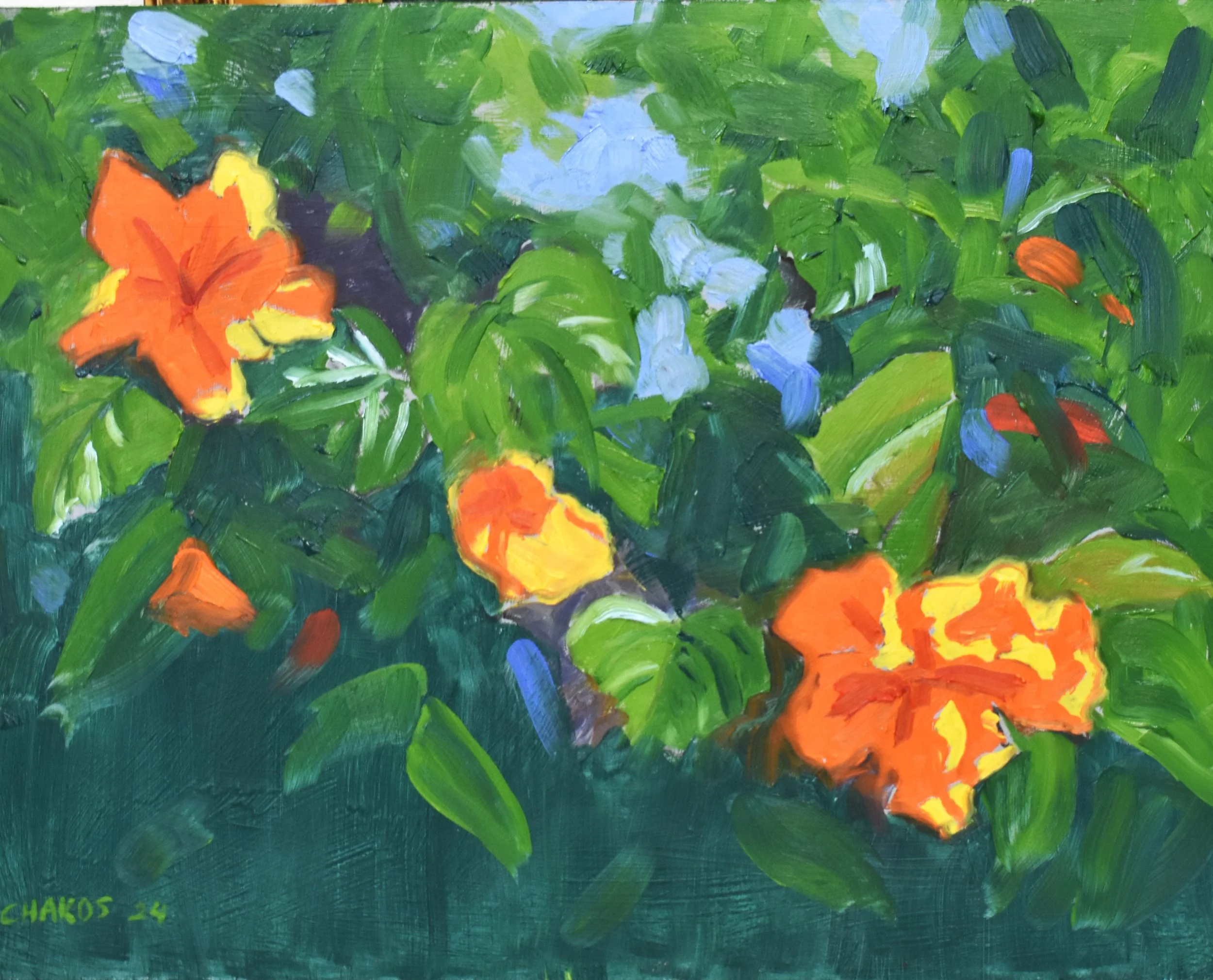 george-t-chakos-fine-art-orange-flowers.JPG