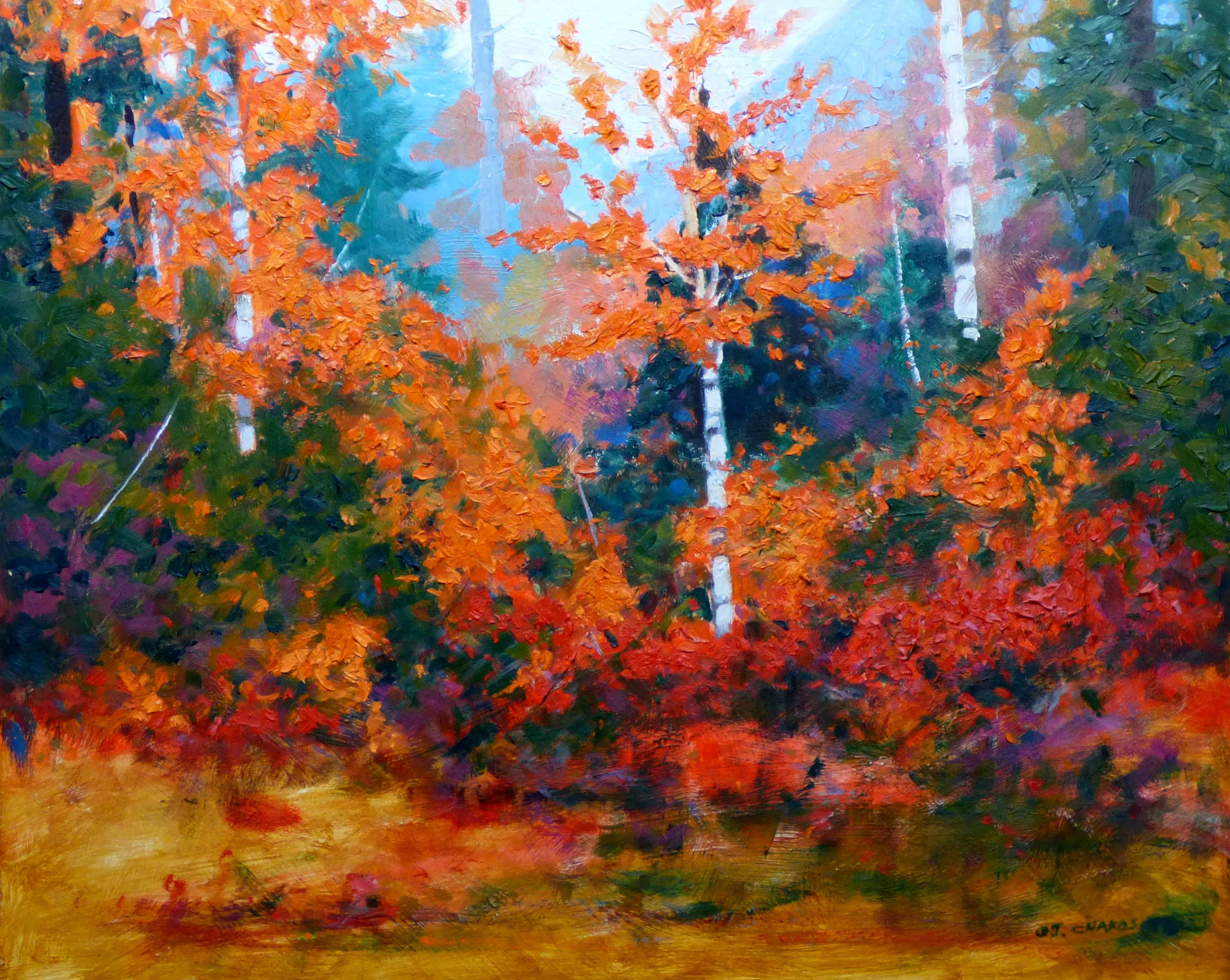 Autumn Birches.JPG
