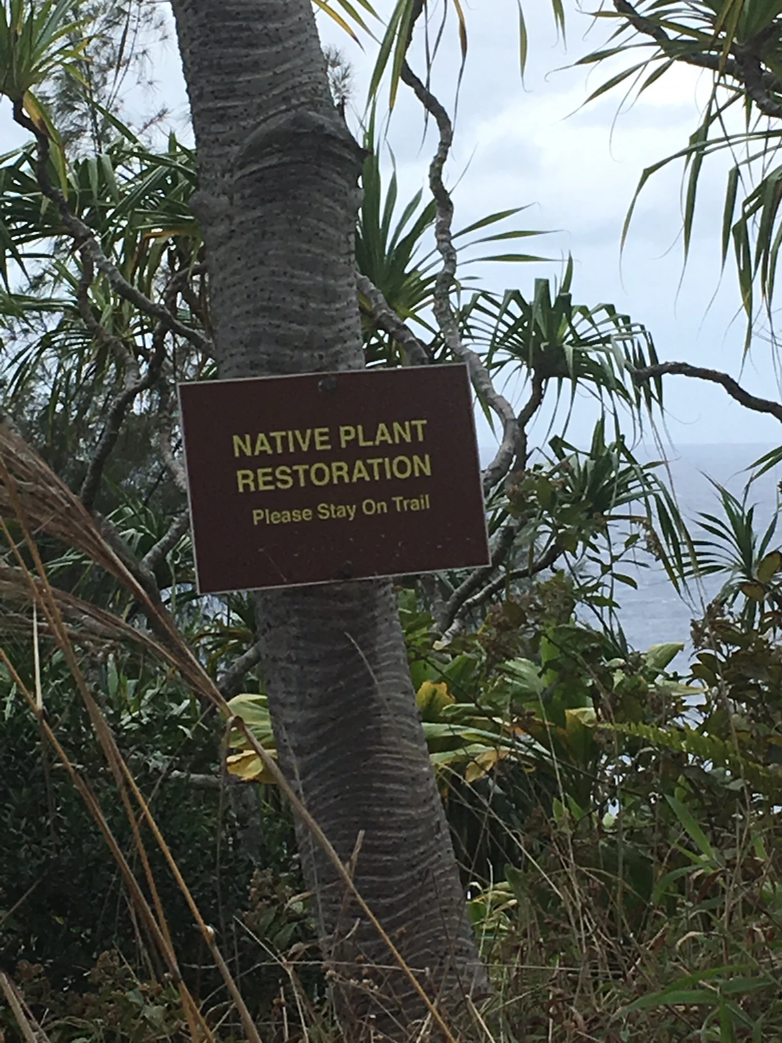 we took a lot of photos of signs