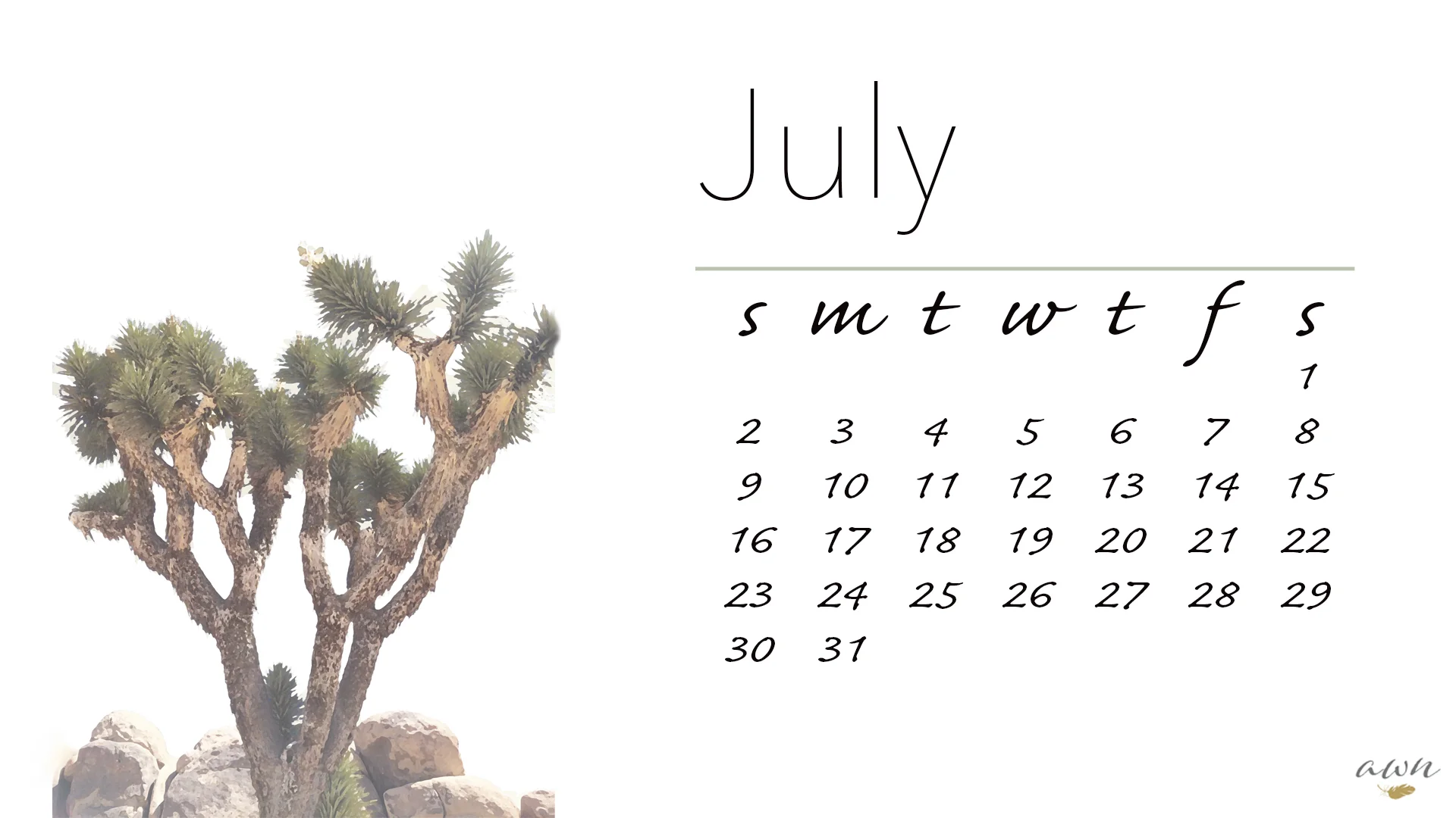calendar_joshua tree_JULY_edited-1.jpg